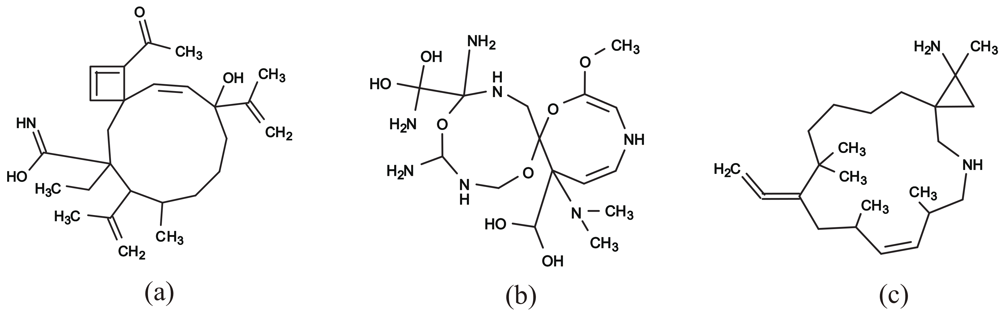 Algorithms 13 00124 g011