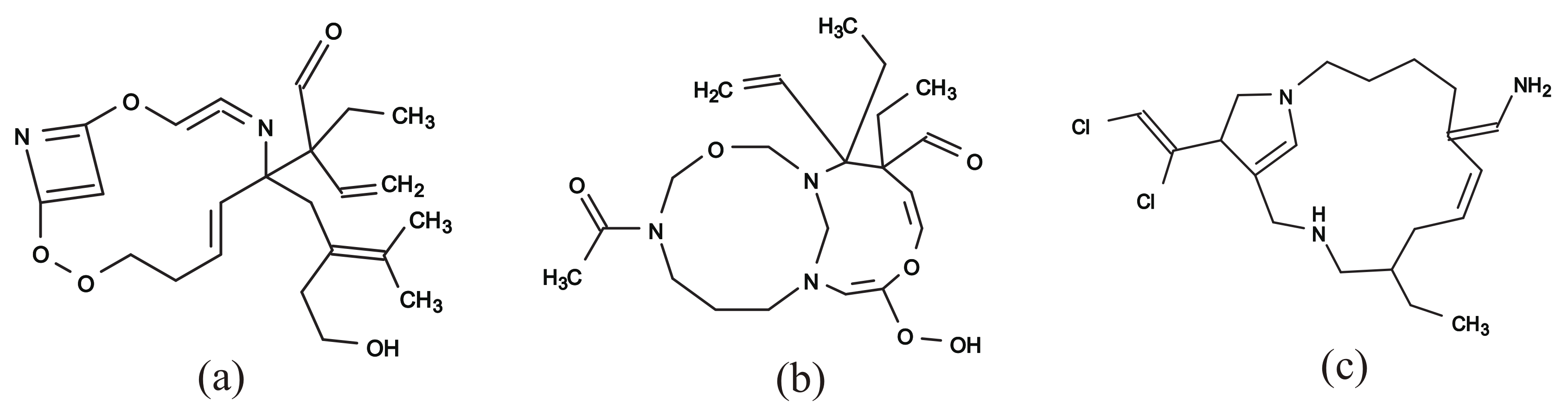 Algorithms 13 00124 g012