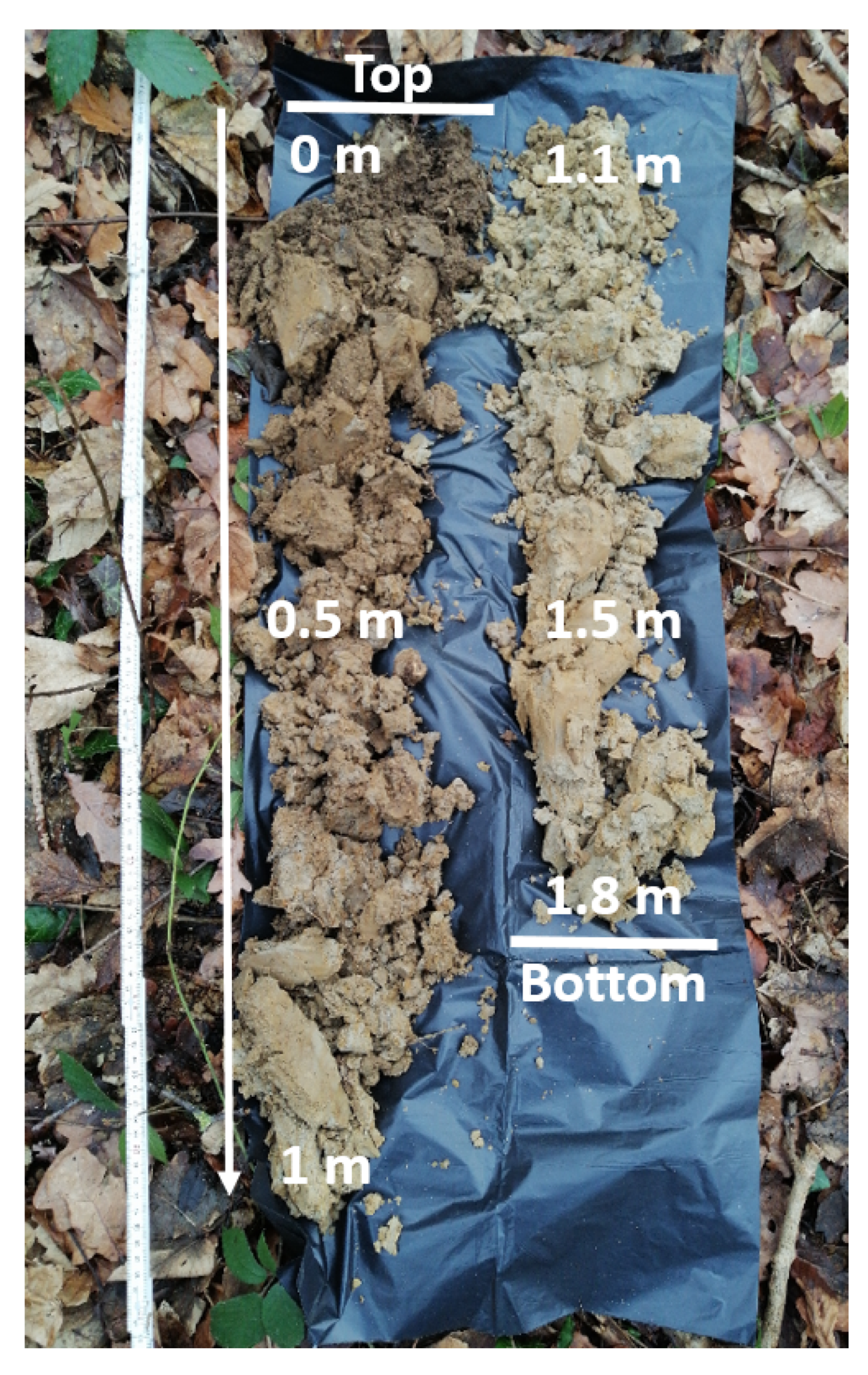 Algorithms 13 00144 g006