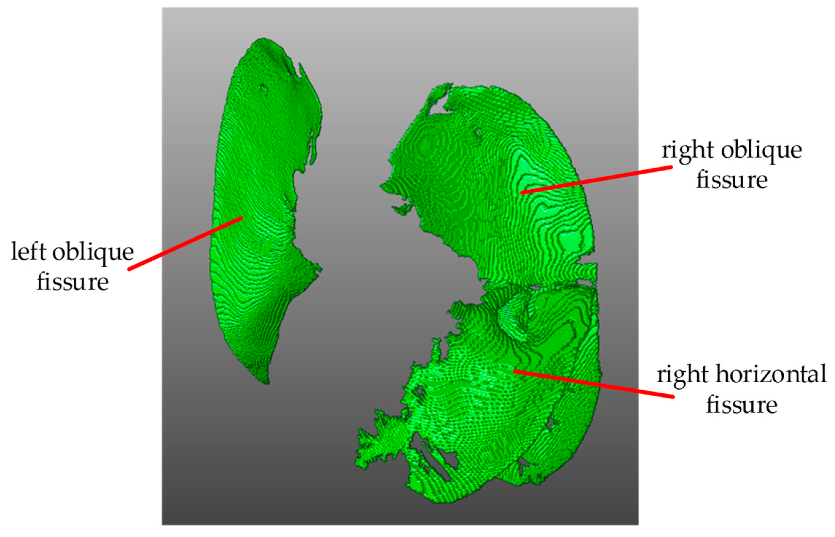 Algorithms 13 00263 g002
