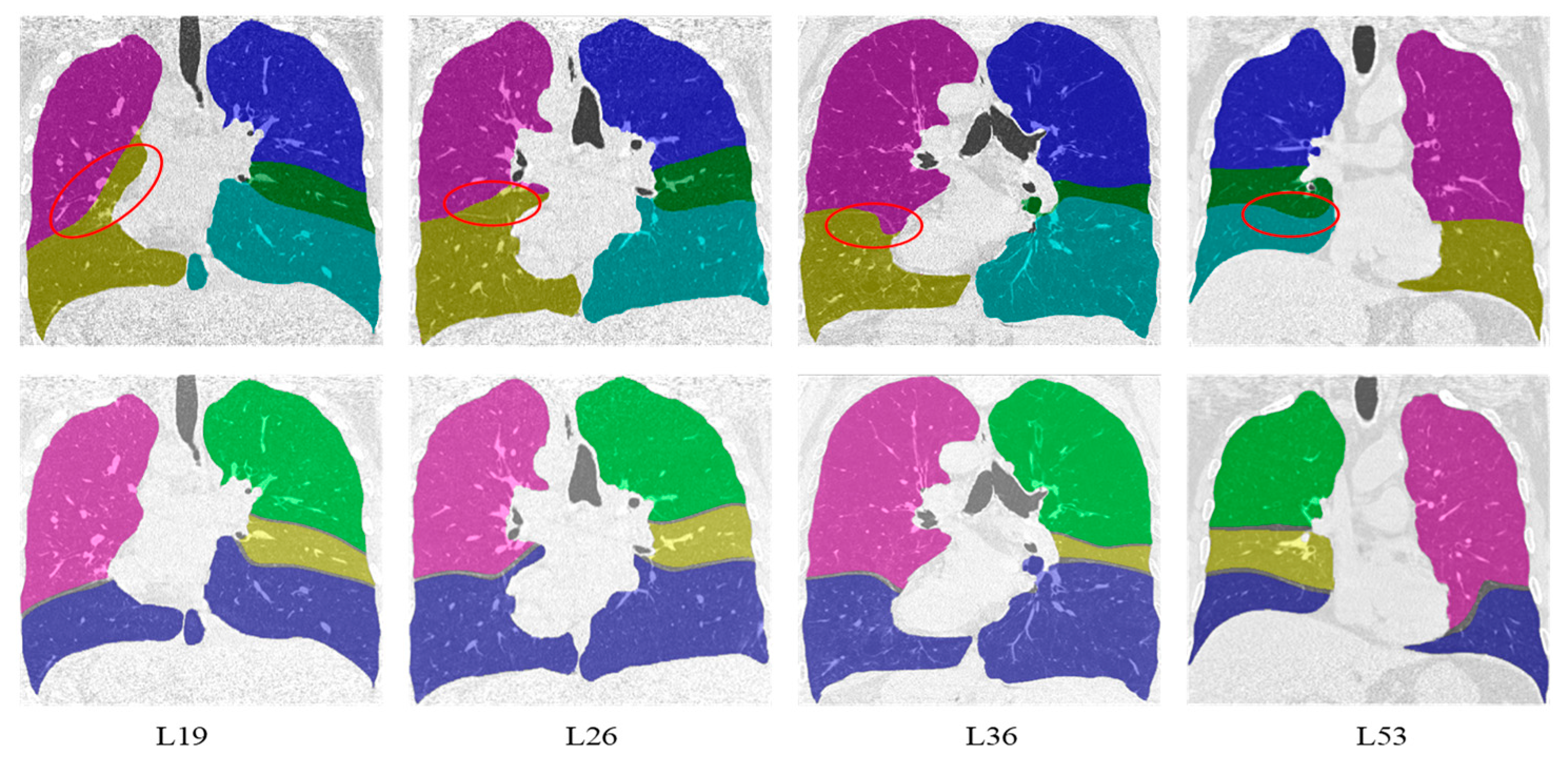 Algorithms 13 00263 g007