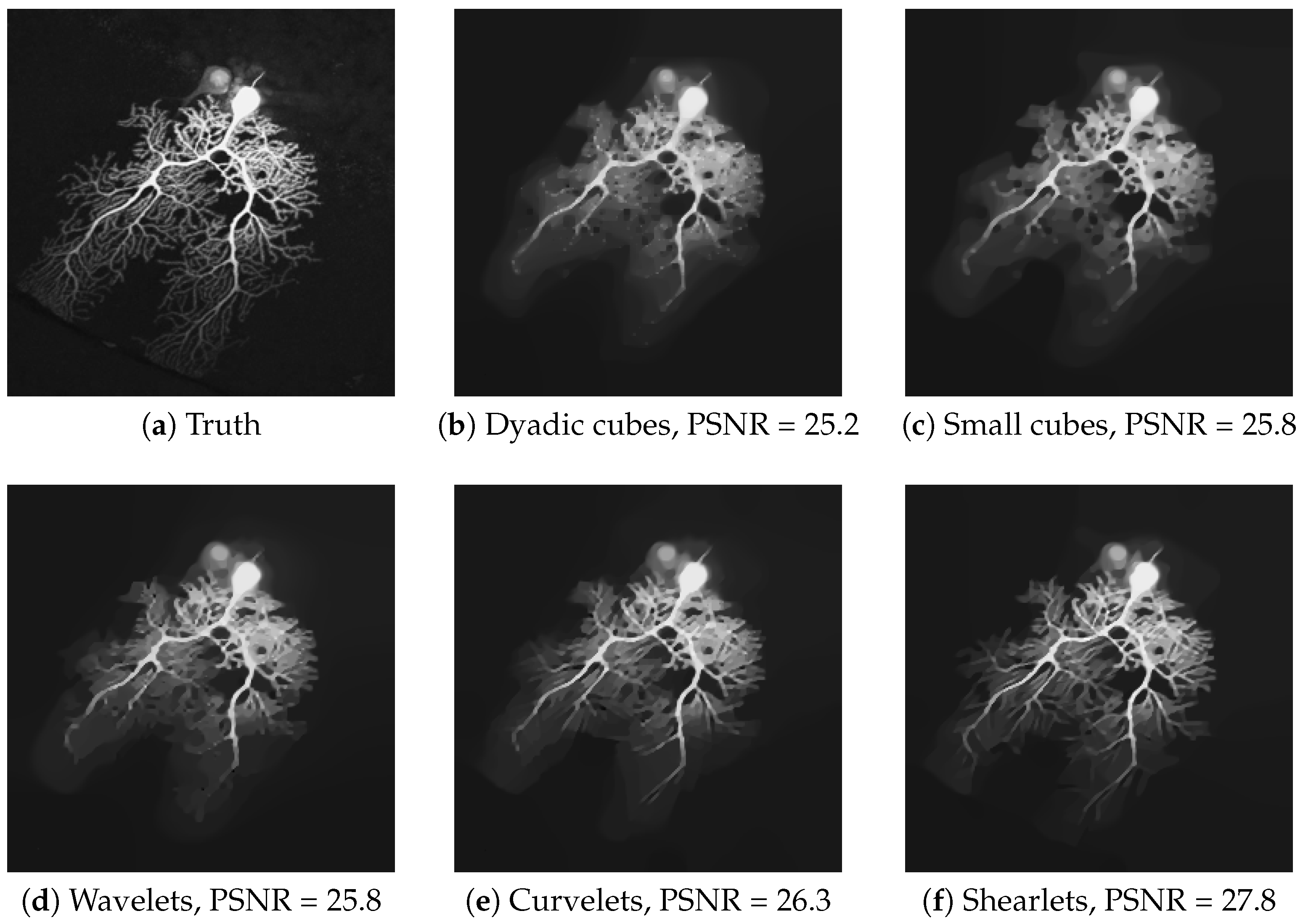 Algorithms 13 00296 g009