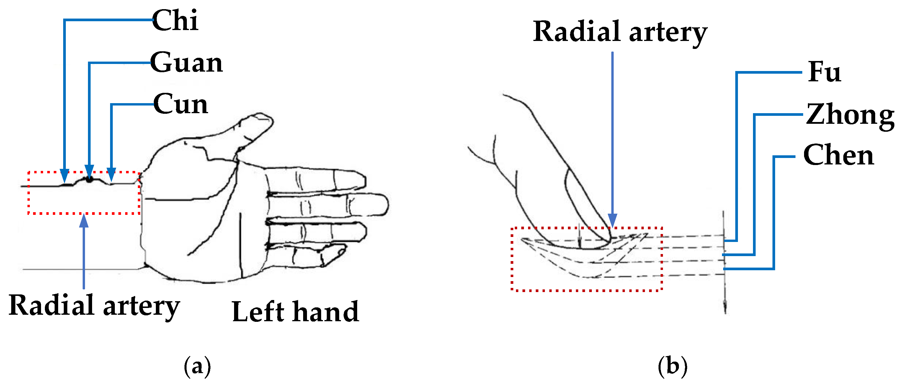 Algorithms 13 00297 g001