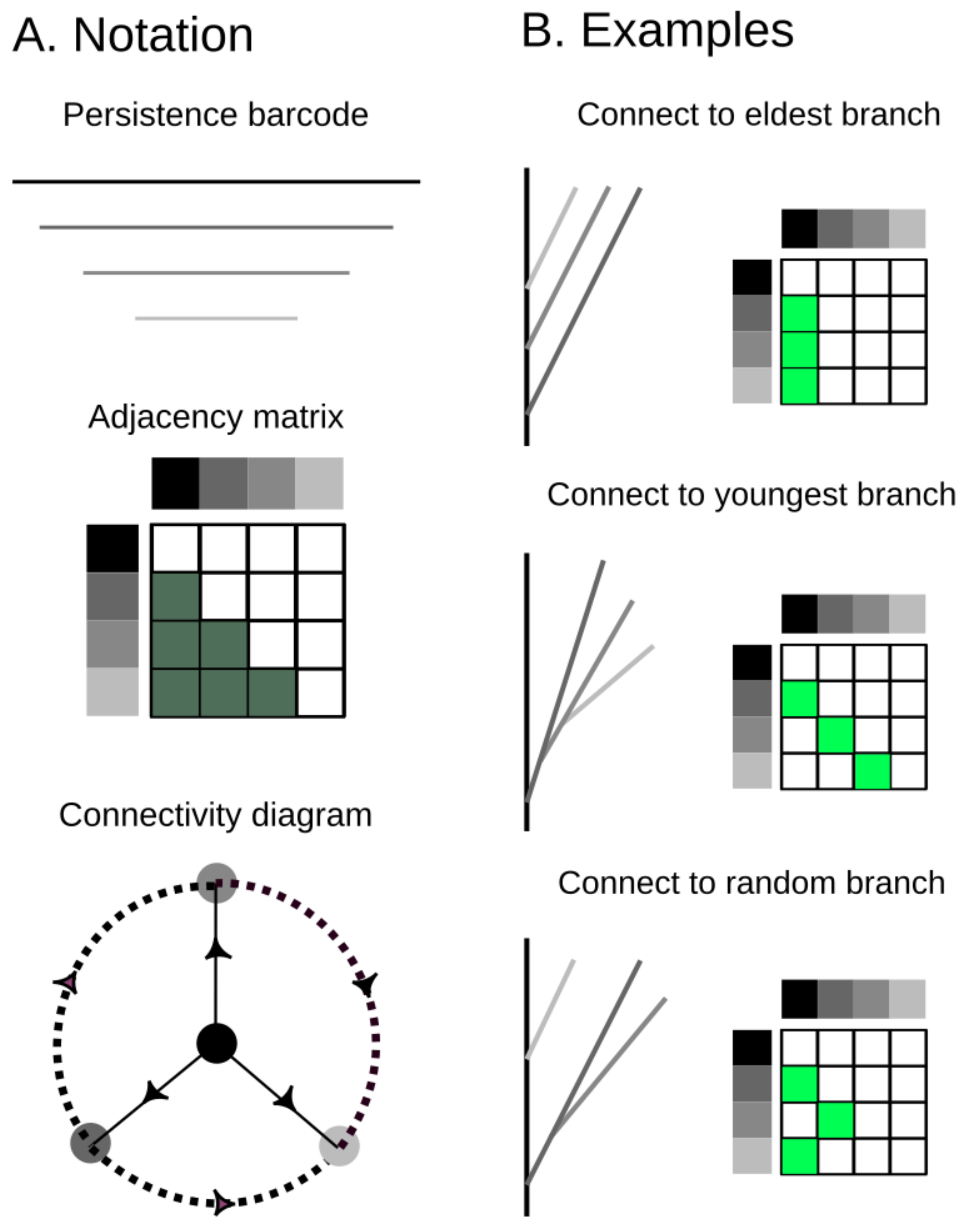 Algorithms 13 00335 g004