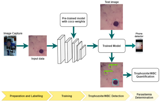 Algorithms | Free Full-Text | Mobile-Aware Deep Learning Algorithms for ...