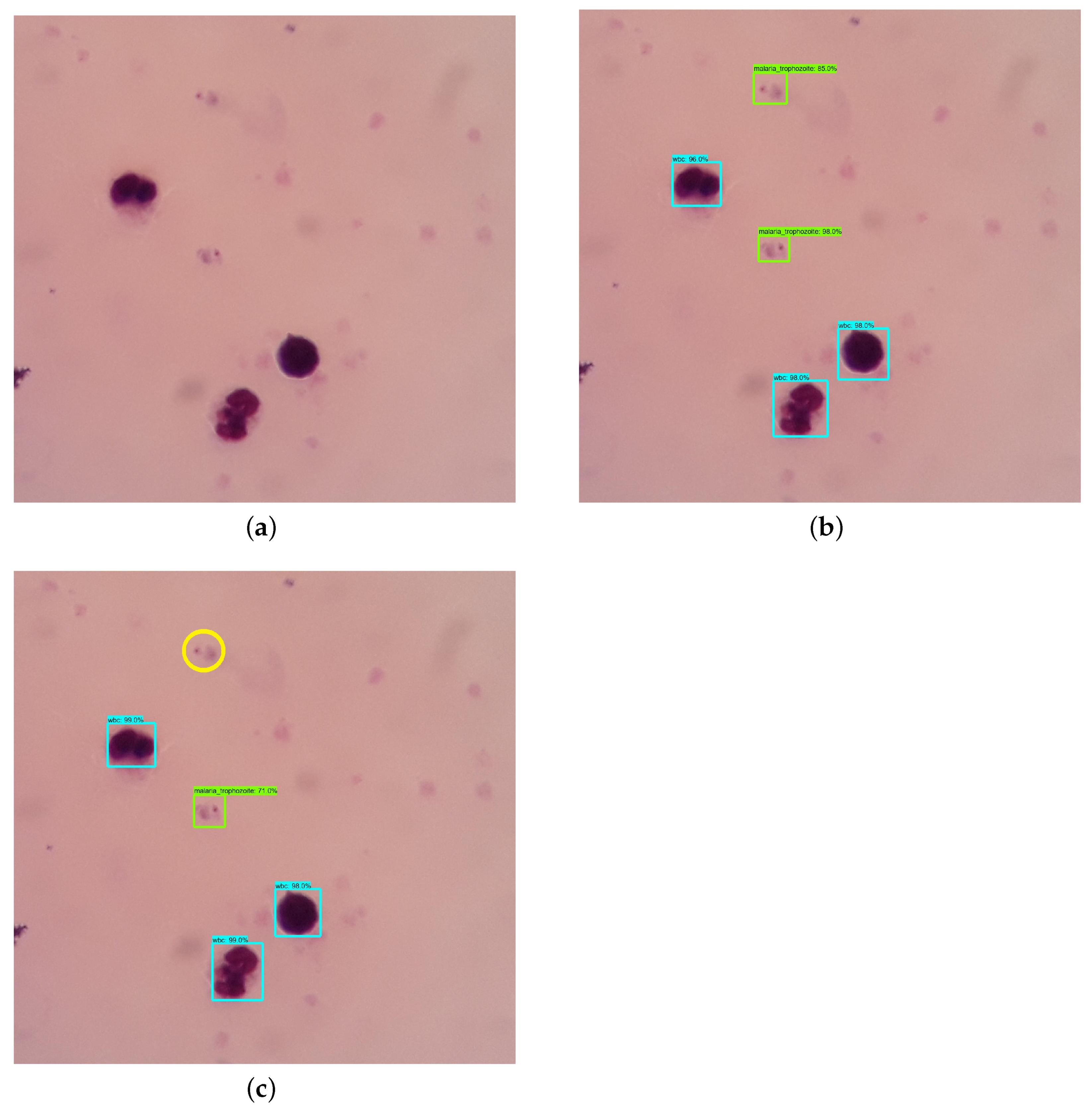 Algorithms 14 00017 g005