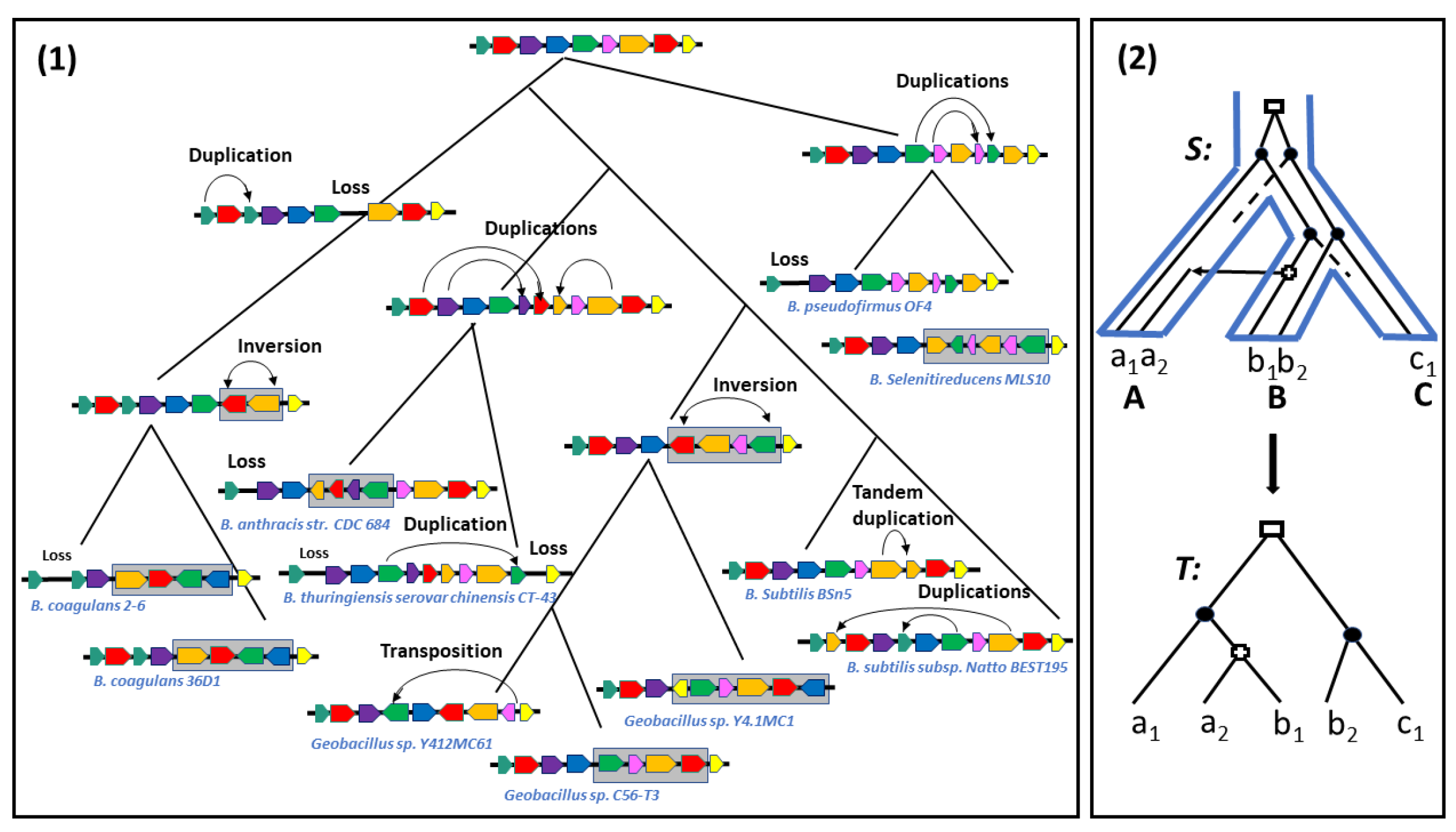 Algorithms 14 00152 g001 Algorithms 14 00152 g001
