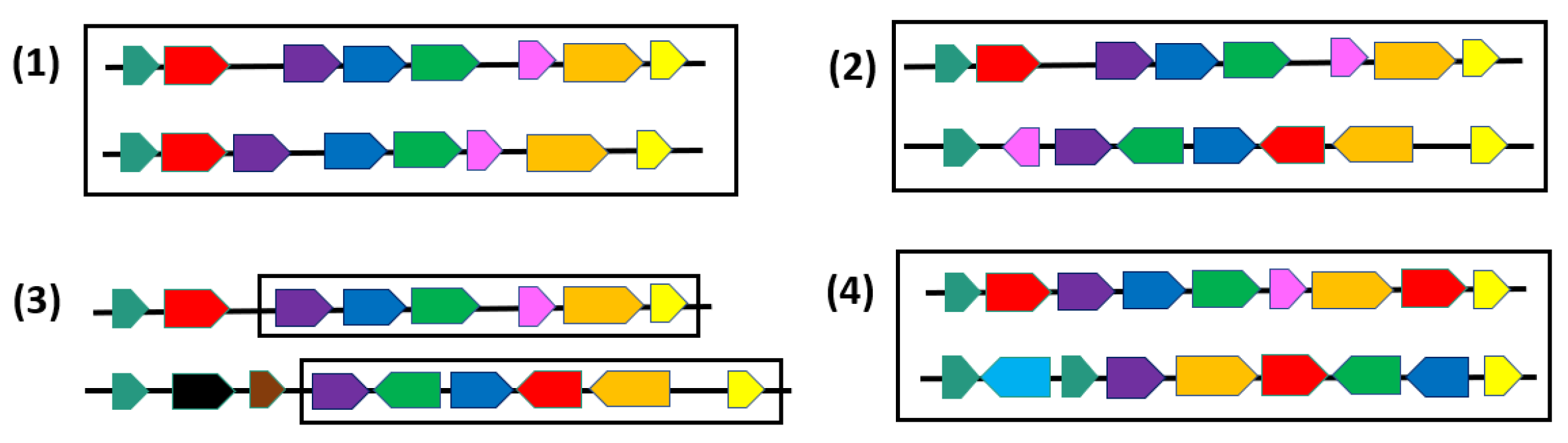Algorithms 14 00152 g002 Algorithms 14 00152 g002