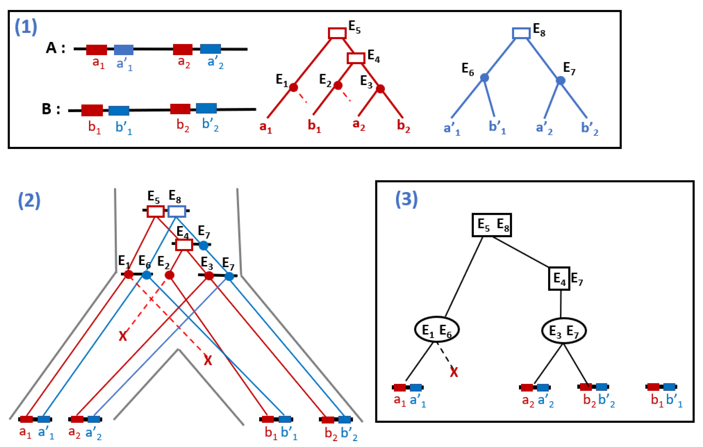Algorithms 14 00152 g004 Algorithms 14 00152 g004