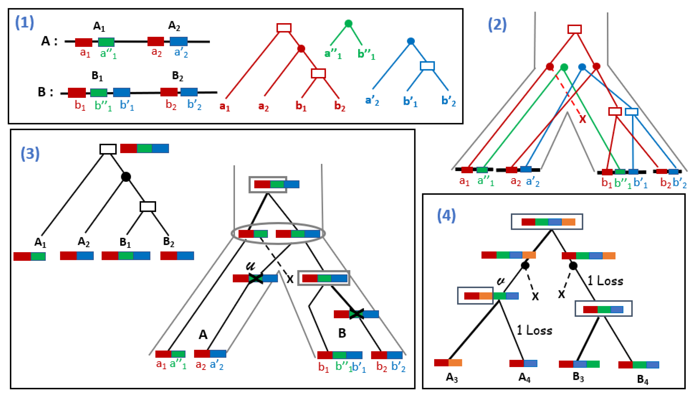Algorithms 14 00152 g005 Algorithms 14 00152 g005
