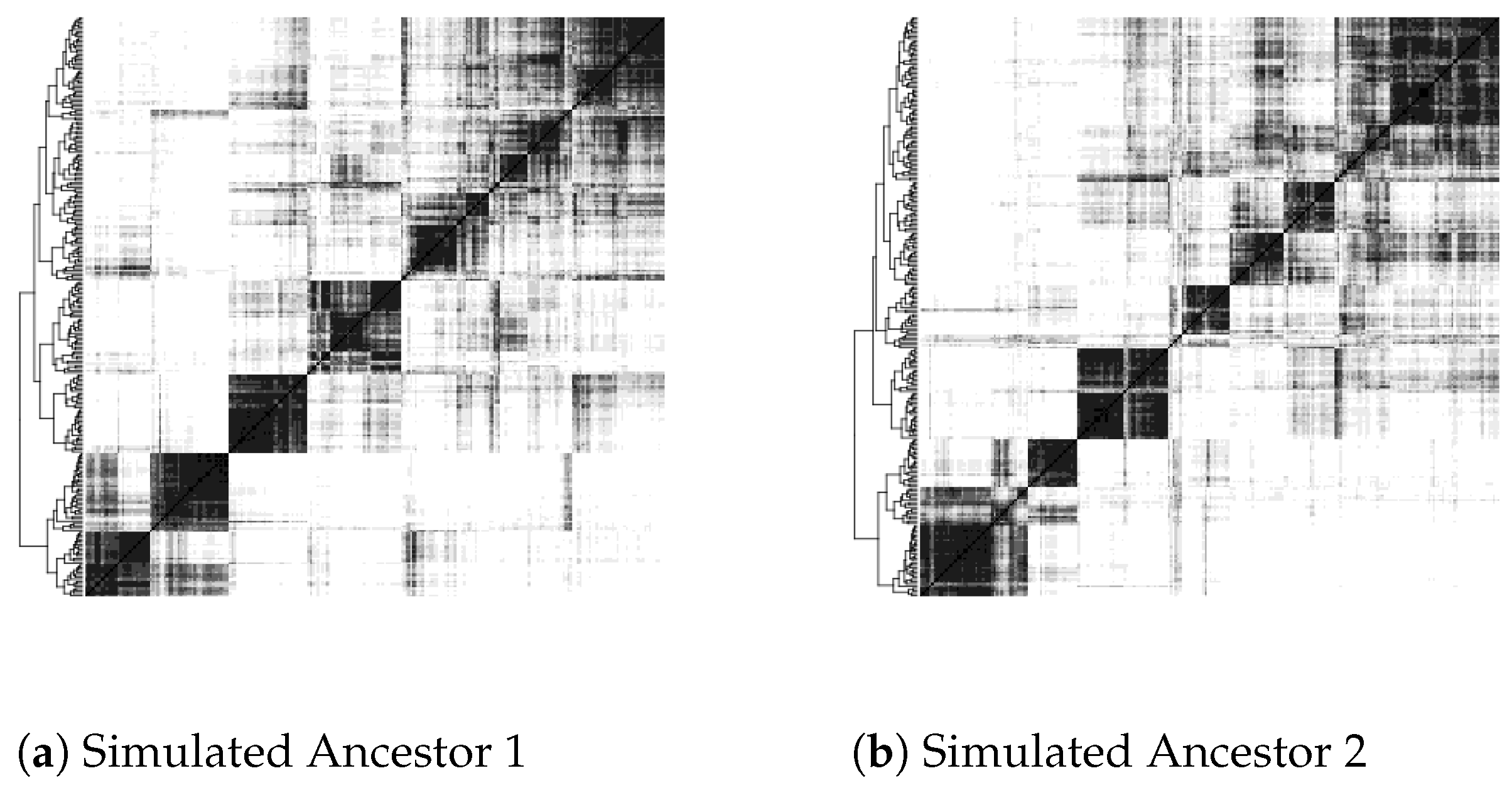 Algorithms 14 00160 g003a