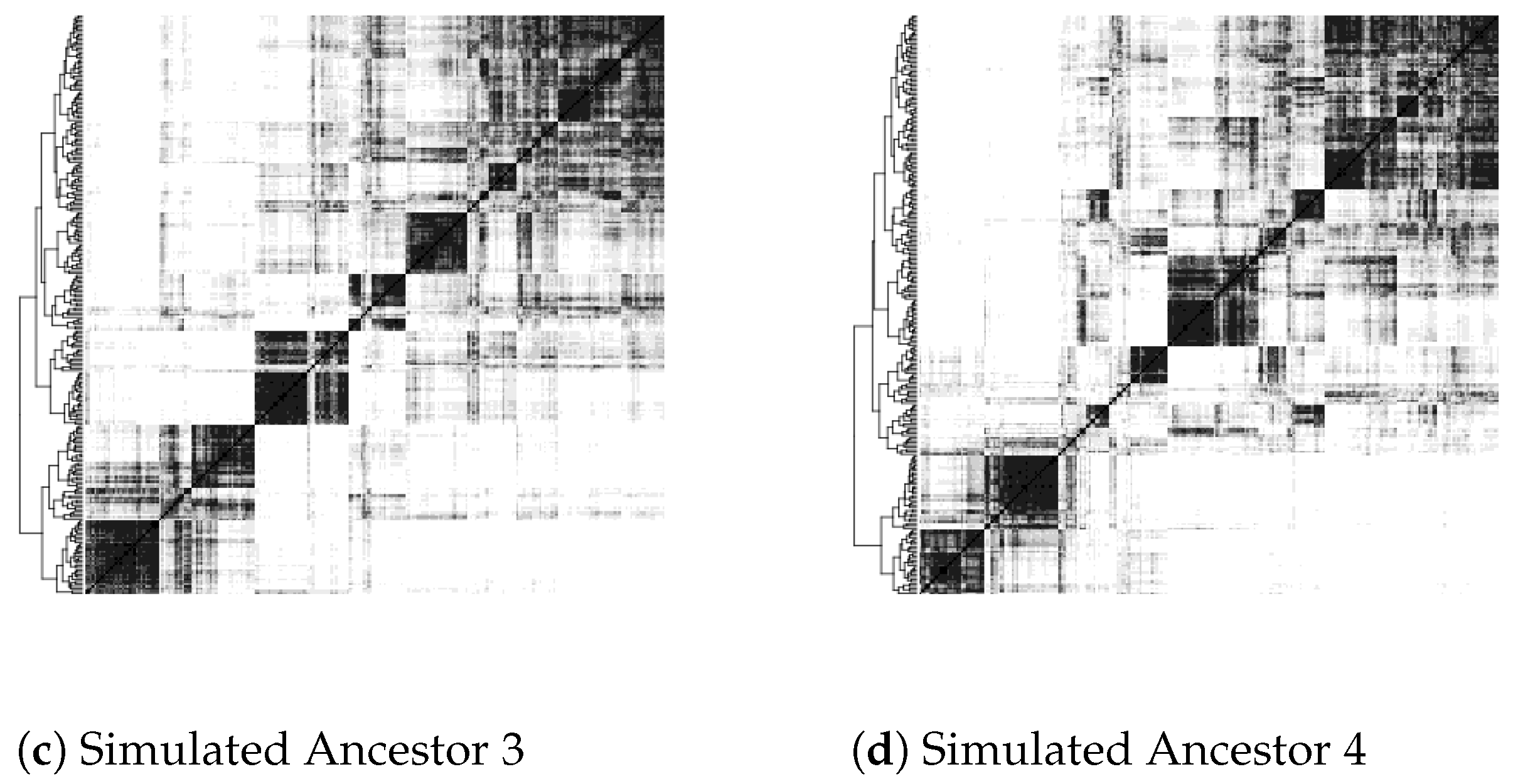 Algorithms 14 00160 g003b