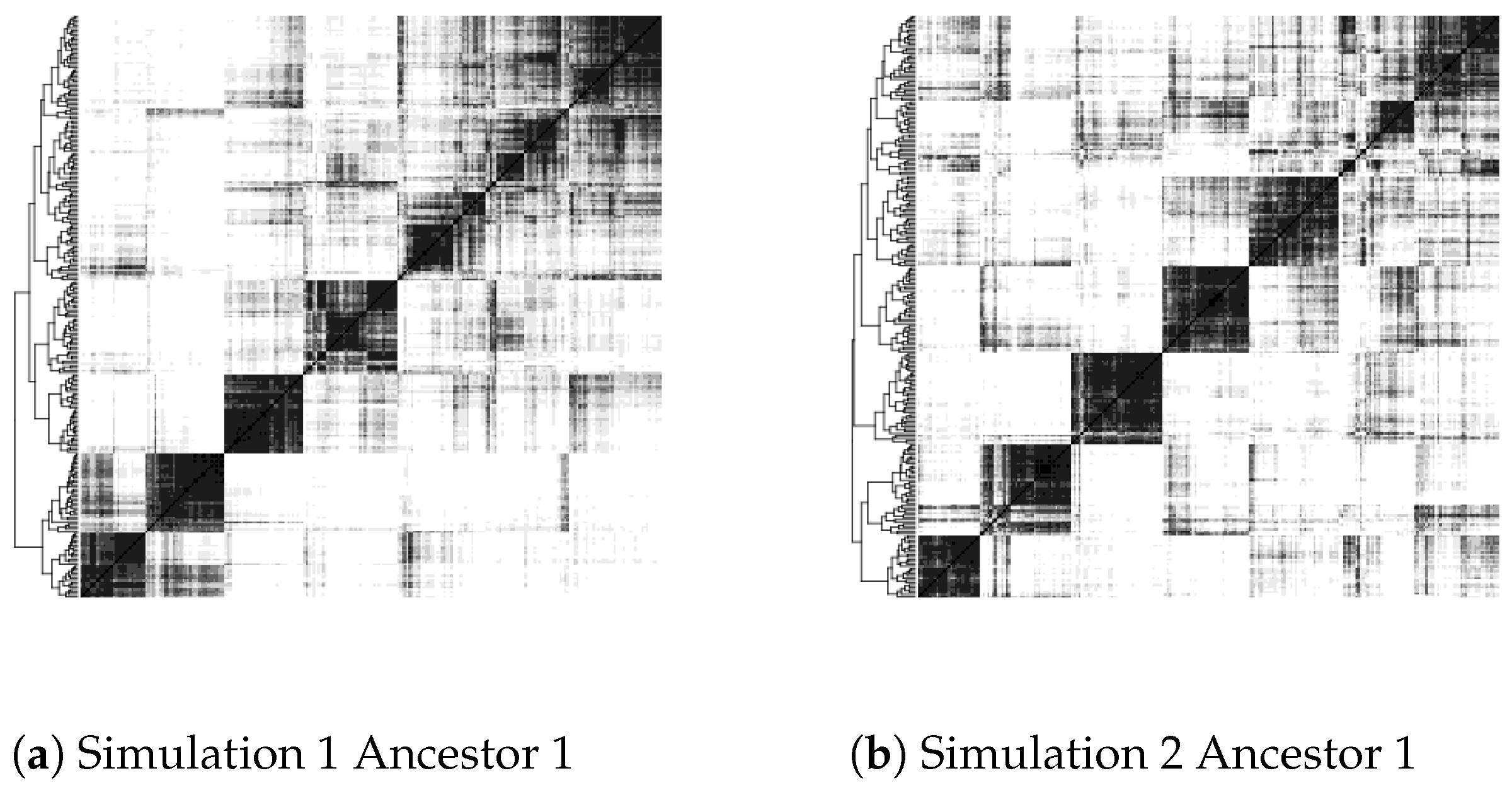 Algorithms 14 00160 g005a