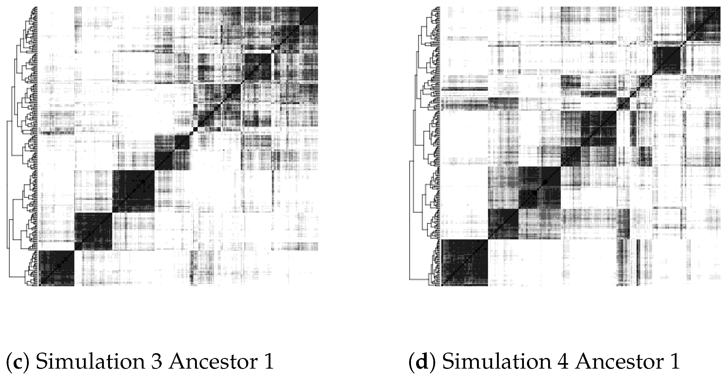 Algorithms 14 00160 g005b
