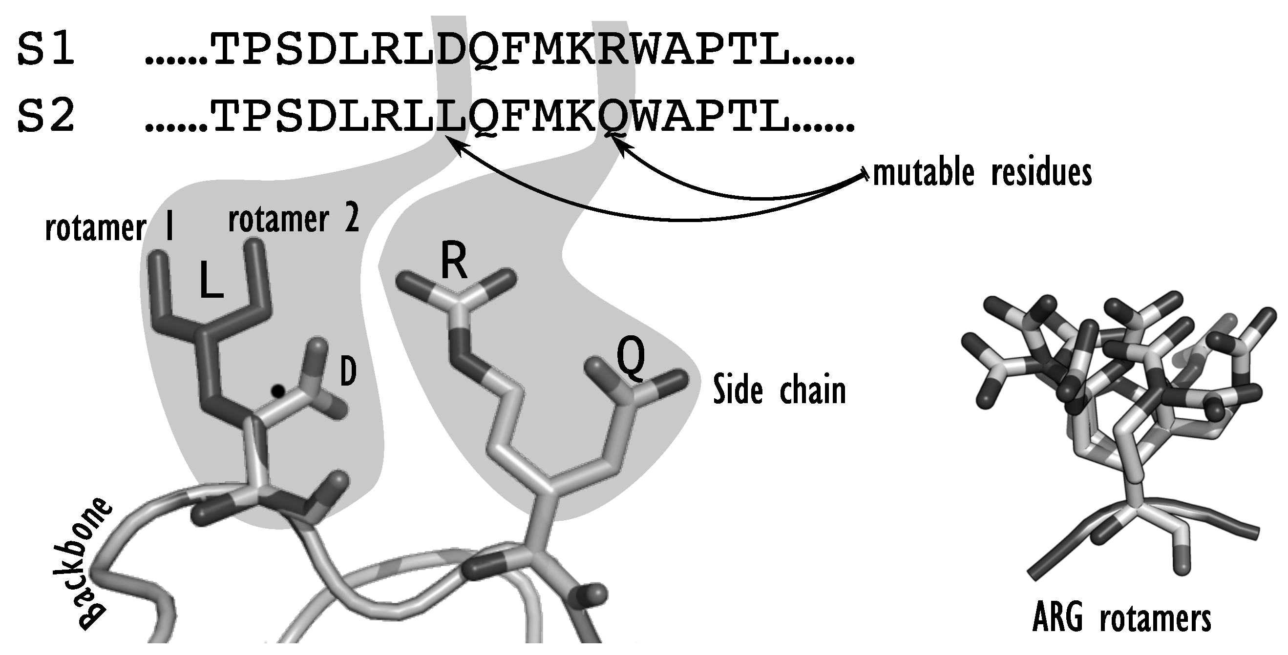Algorithms 14 00168 g001
