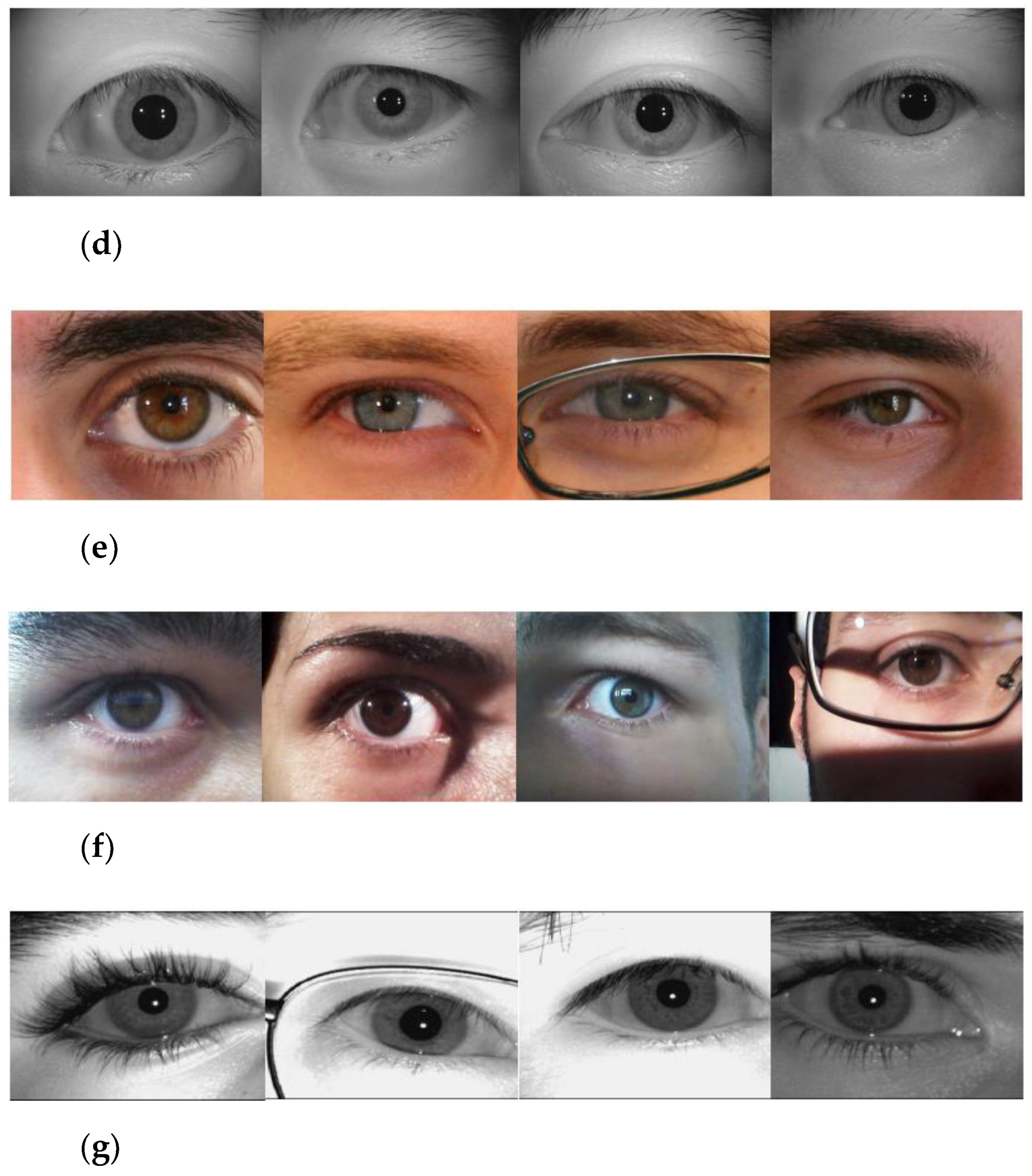 Algorithms 14 00261 g007b