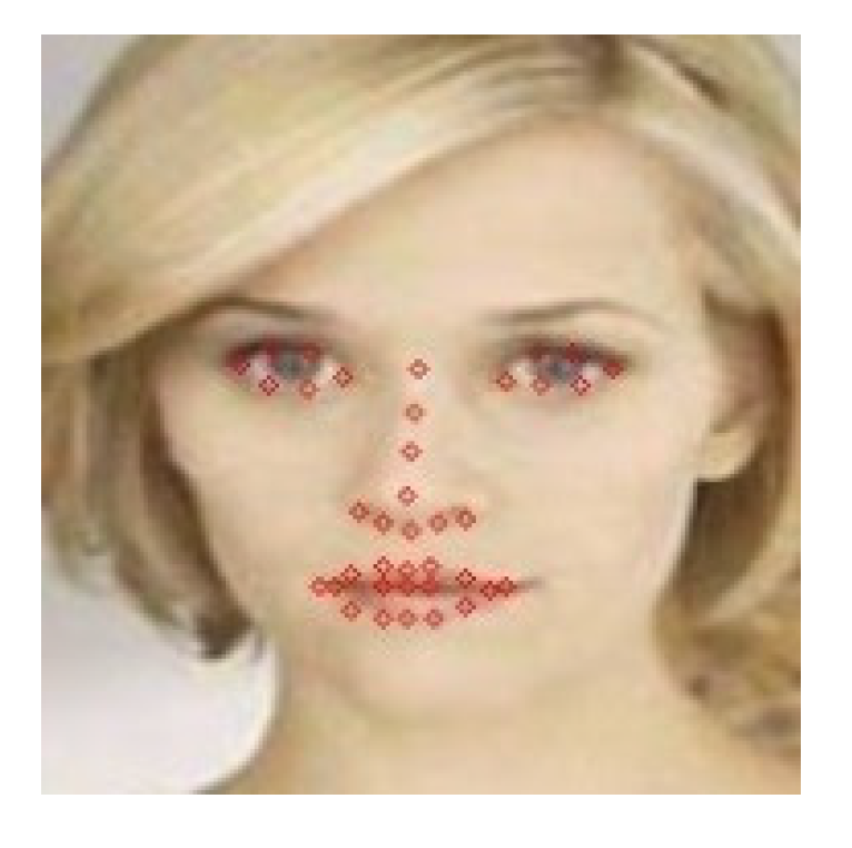 Algorithms 14 00268 g003