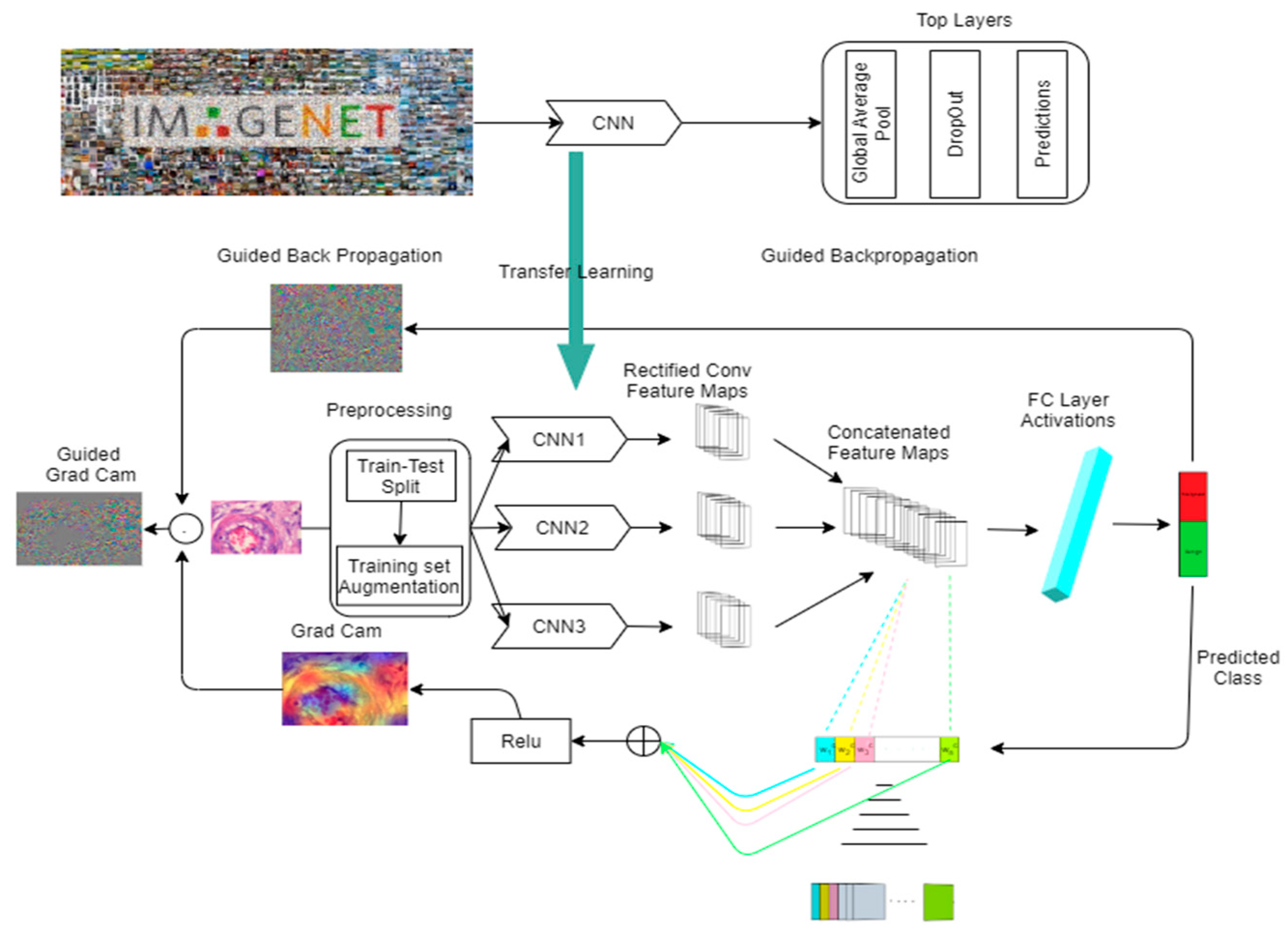 Algorithms 14 00278 g002 Algorithms 14 00278 g002