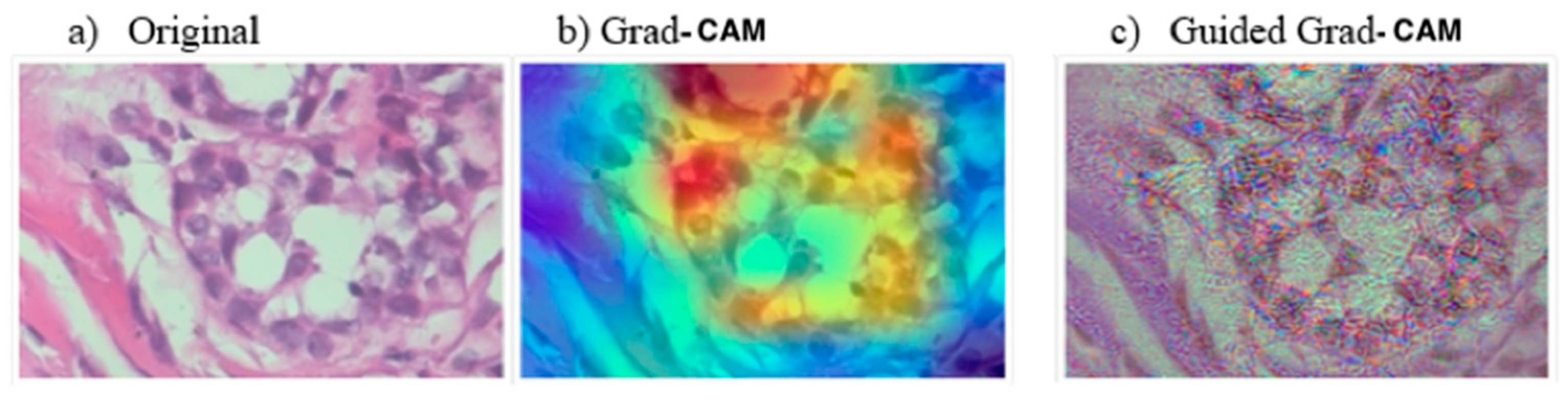 Algorithms 14 00278 g007 Algorithms 14 00278 g007