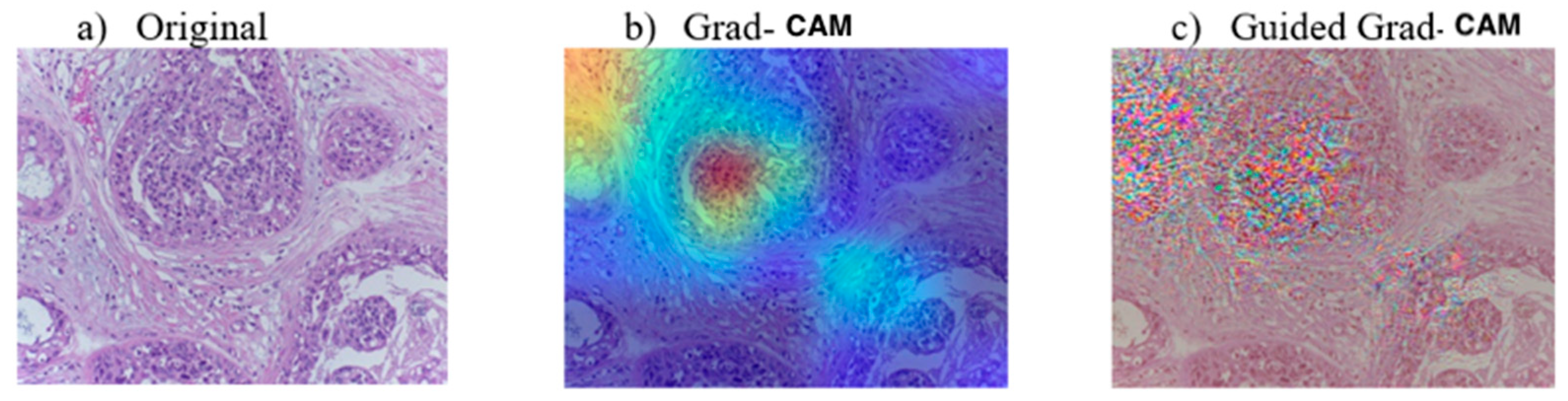 Algorithms 14 00278 g008 Algorithms 14 00278 g008