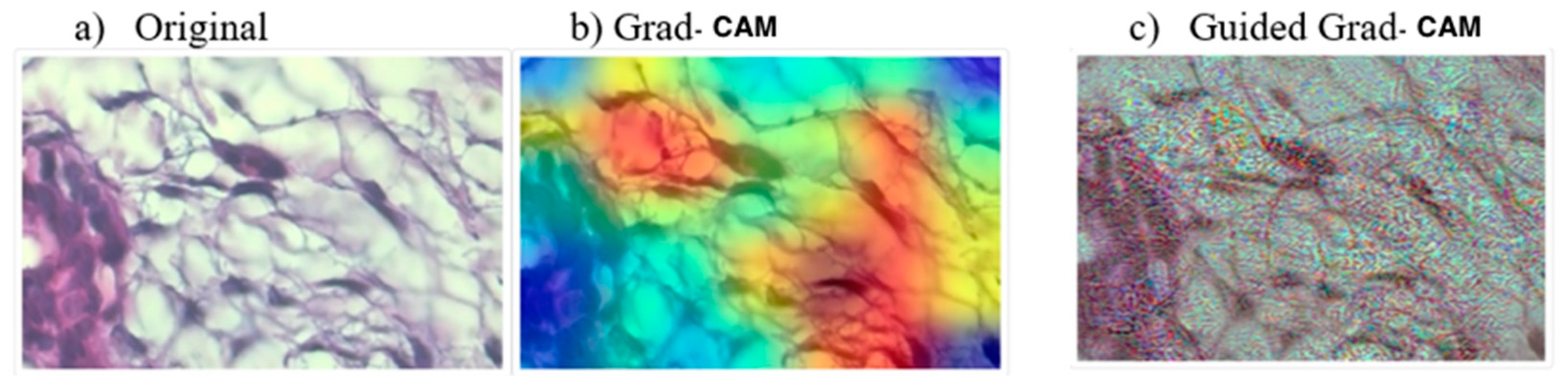 Algorithms 14 00278 g009 Algorithms 14 00278 g009