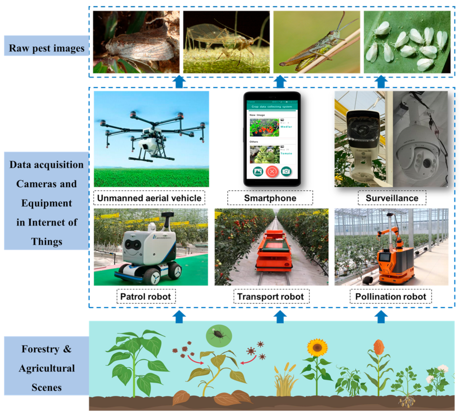 Algorithms 14 00290 g001 550