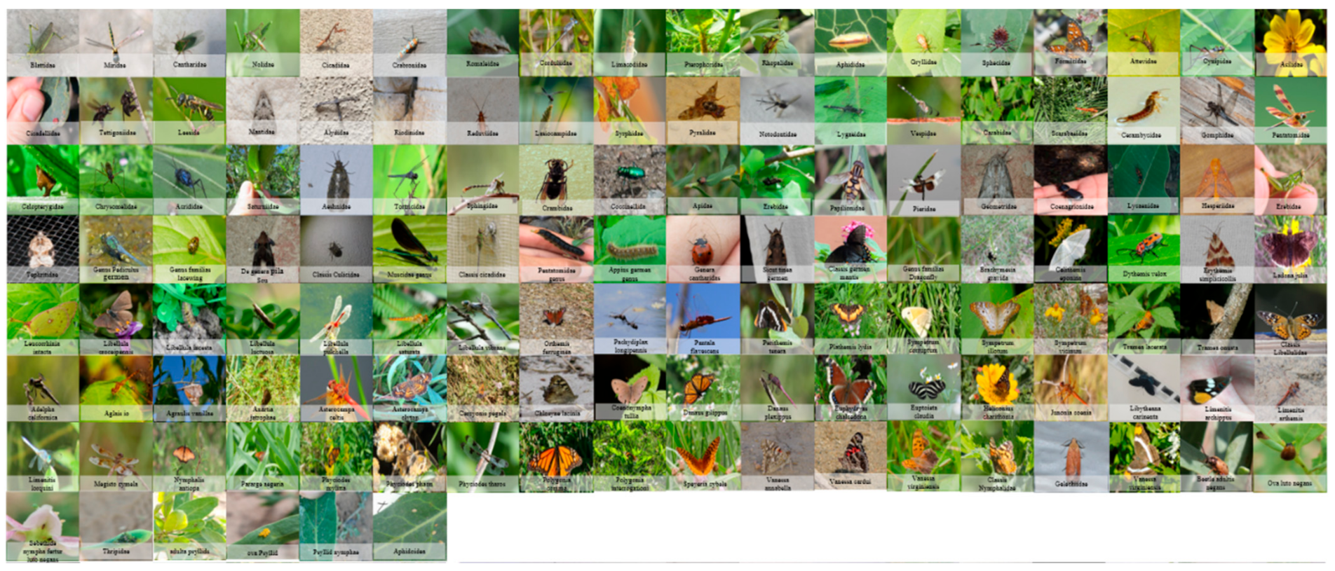 Algorithms 14 00290 g002 550