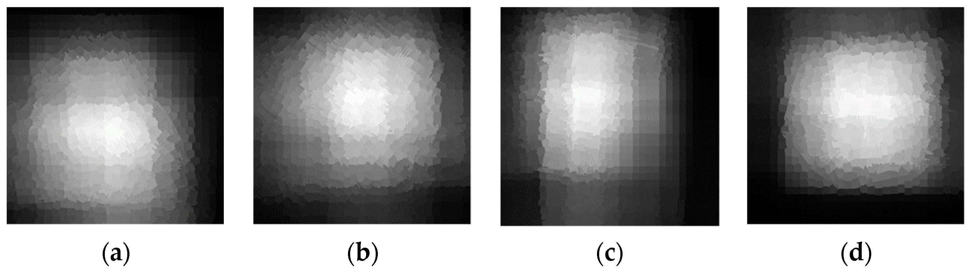 Algorithms 14 00300 g011