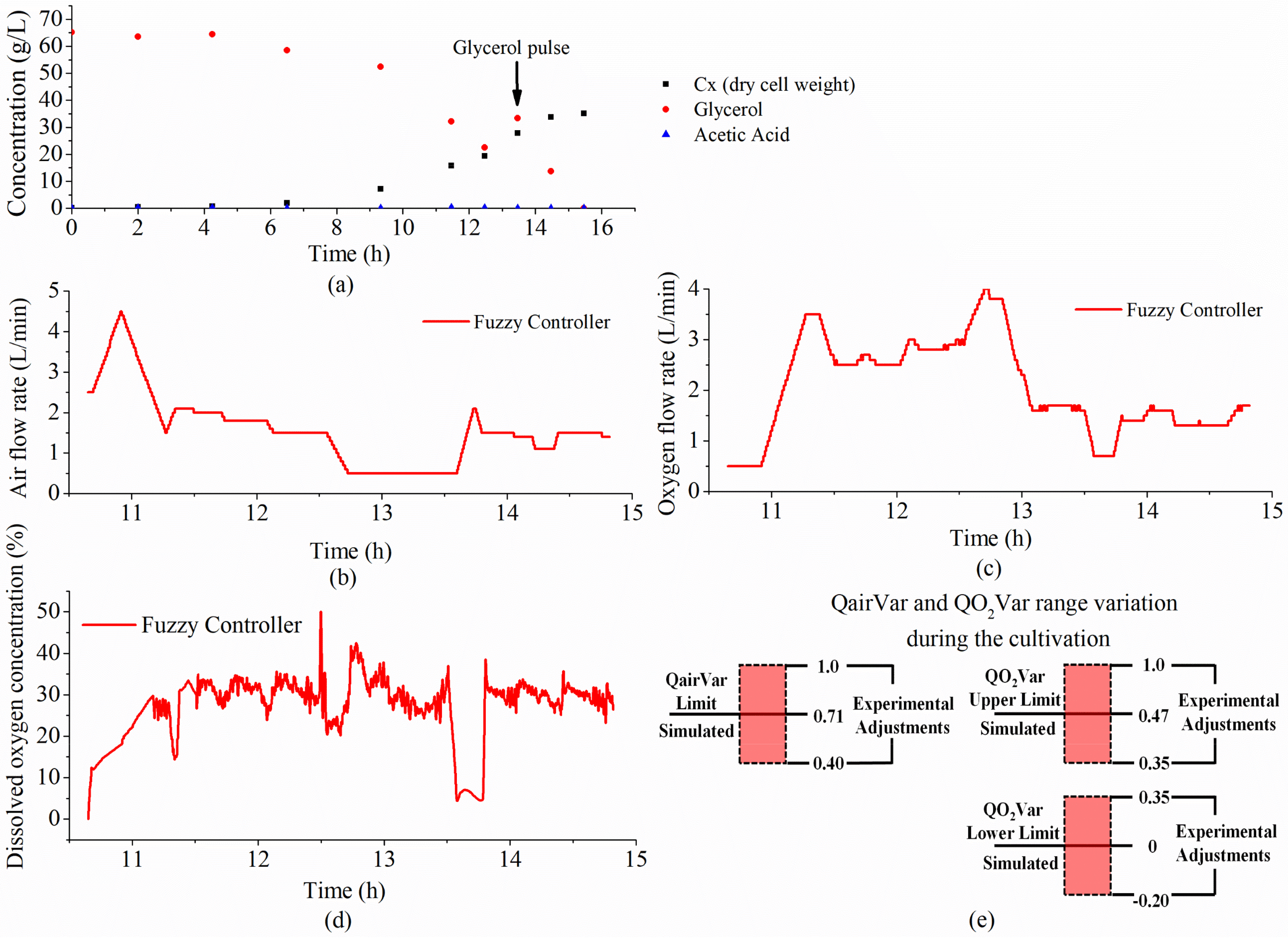 Algorithms 14 00326 g010