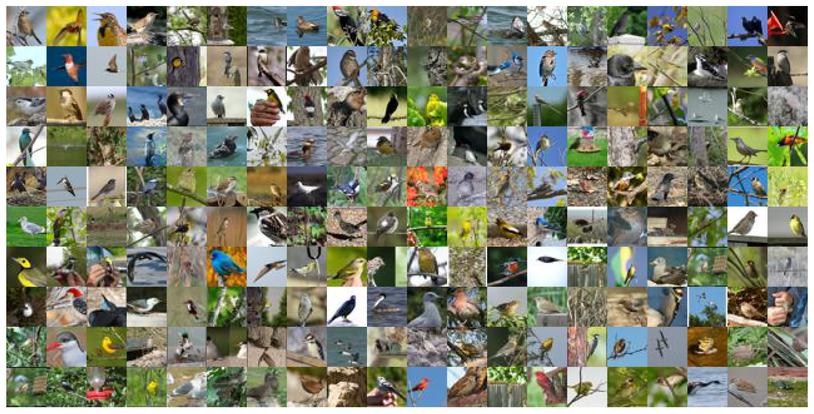 Algorithms 14 00334 g005