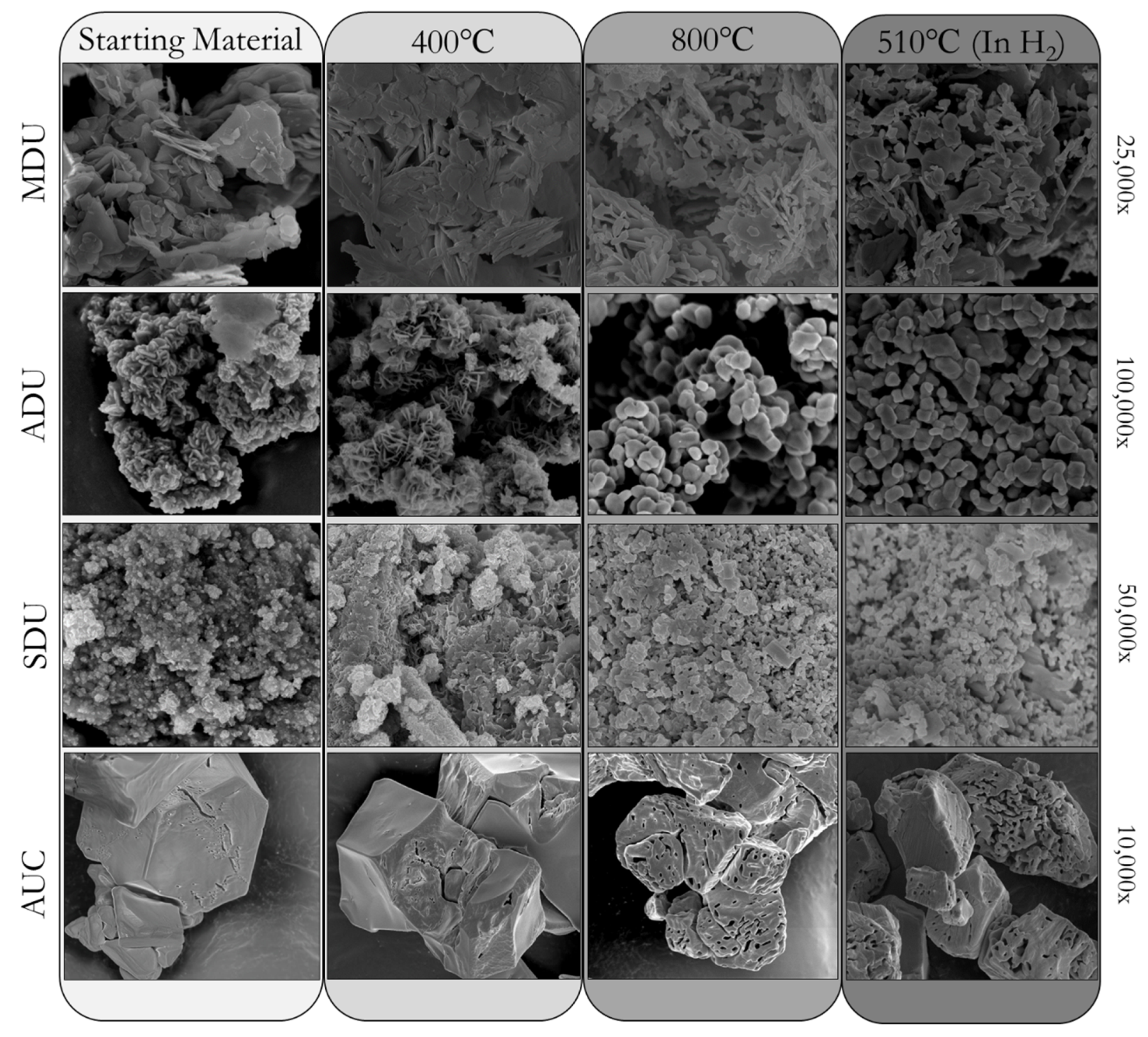 Algorithms 14 00340 g002 550