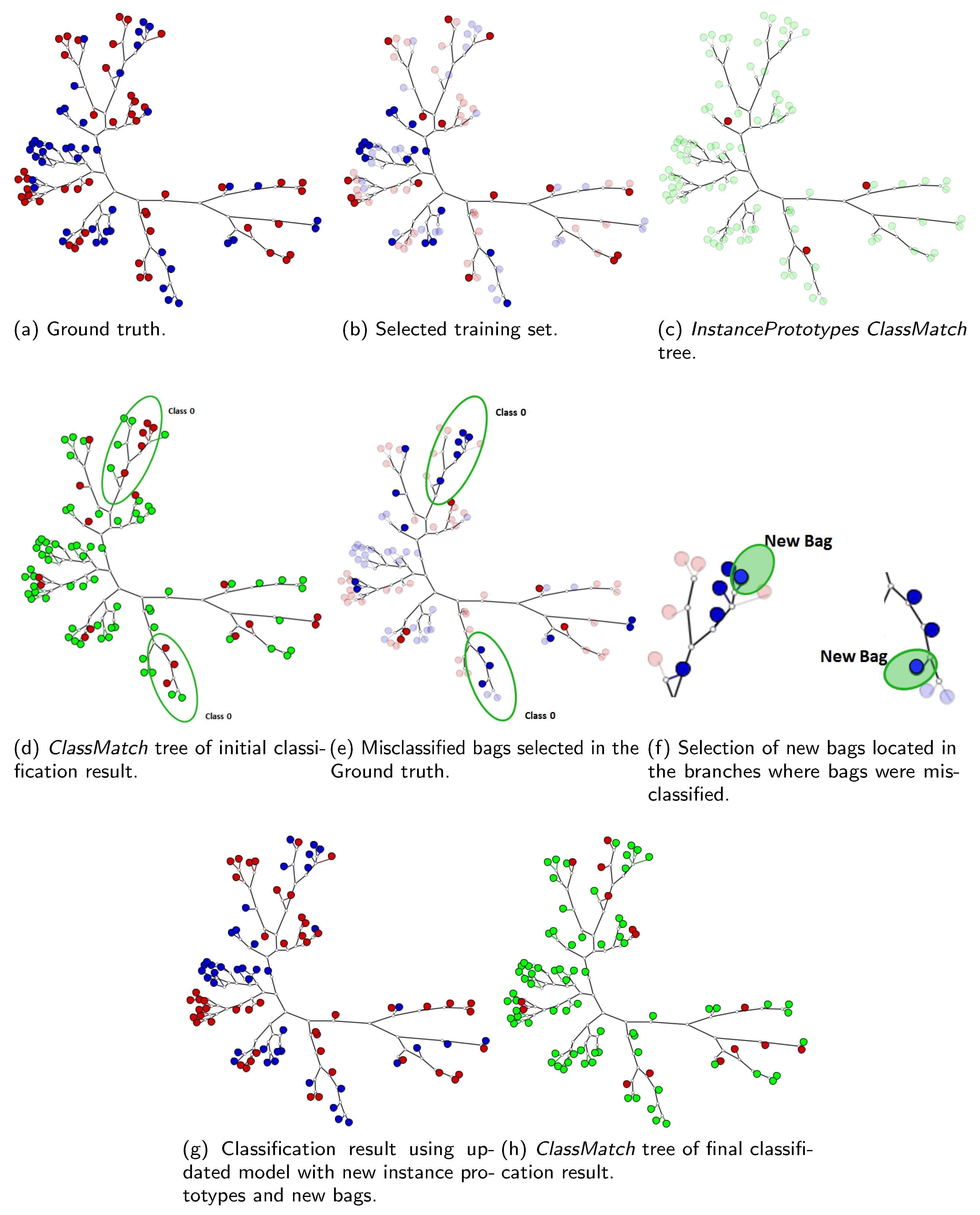 Algorithms 14 00344 g010 550