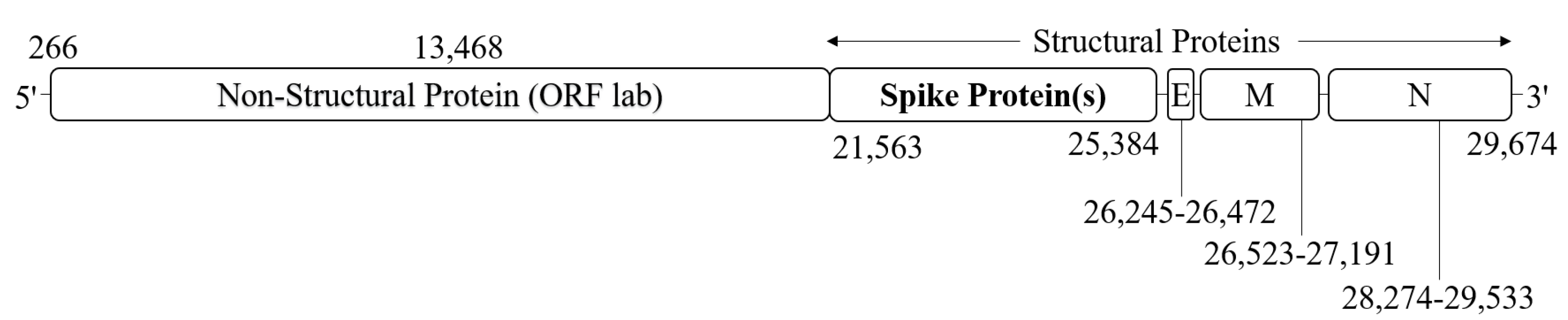 Algorithms 14 00348 g001