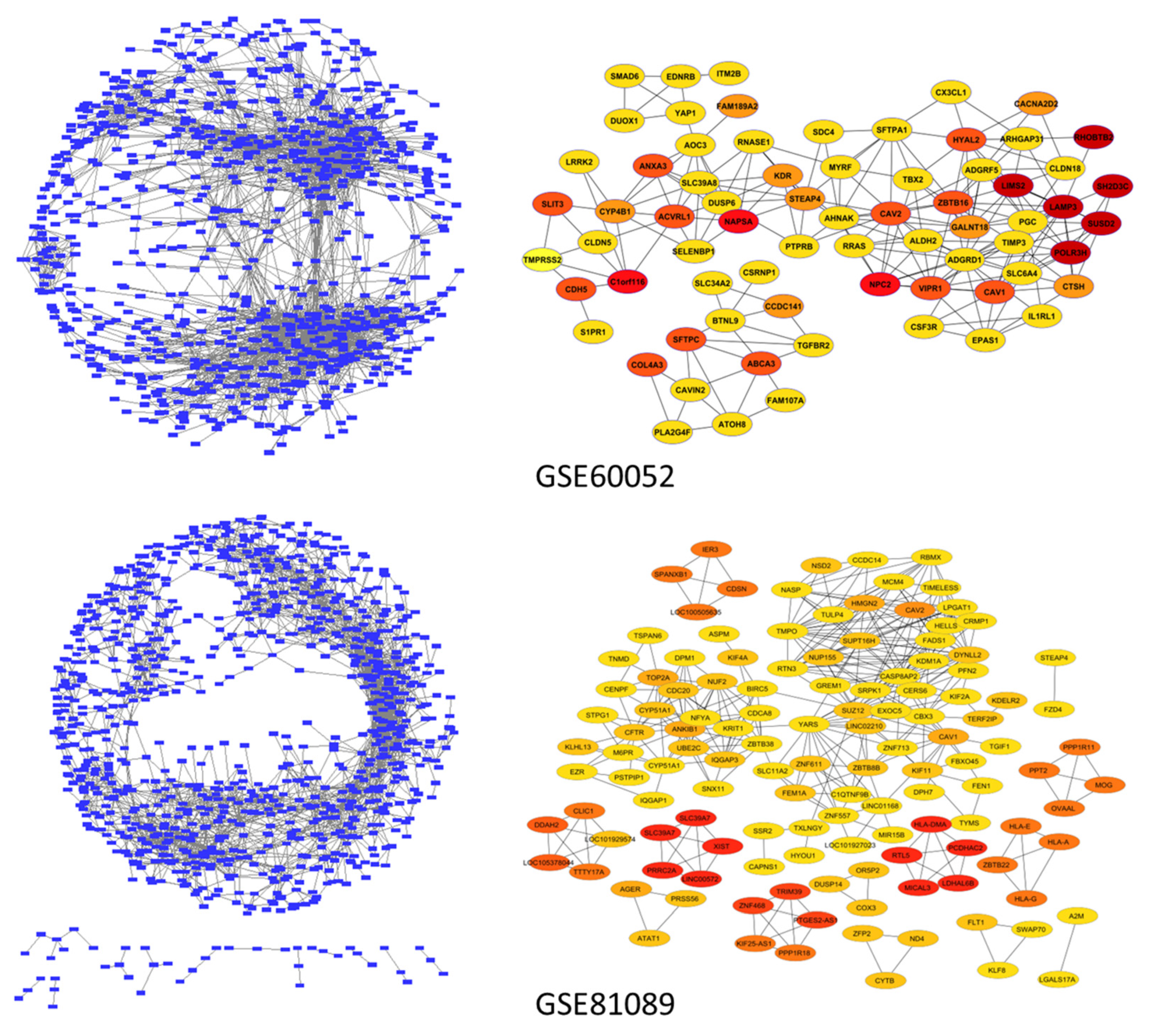 Algorithms 15 00021 g002 Algorithms 15 00021 g002