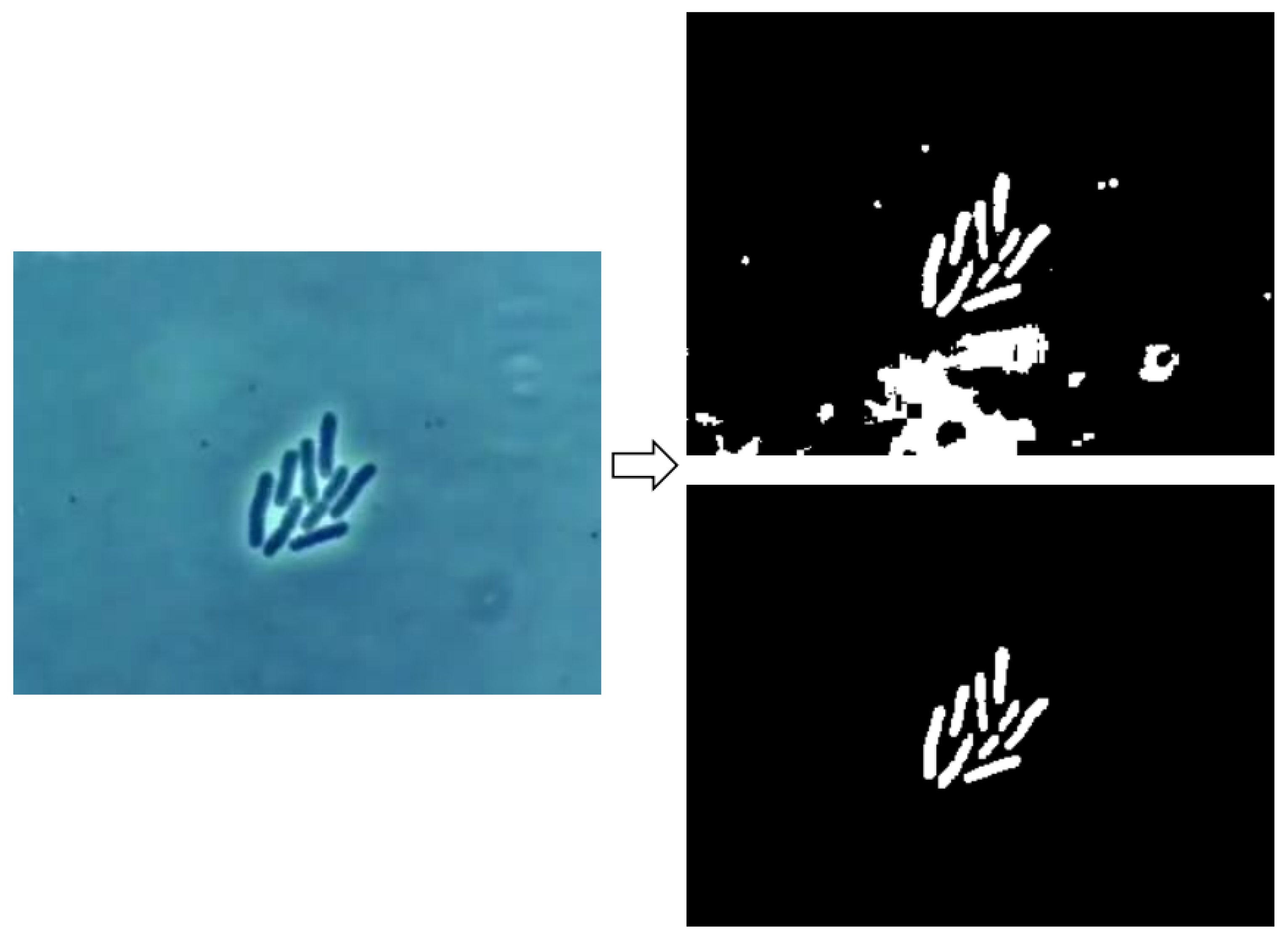 Algorithms 15 00051 g002 Algorithms 15 00051 g002