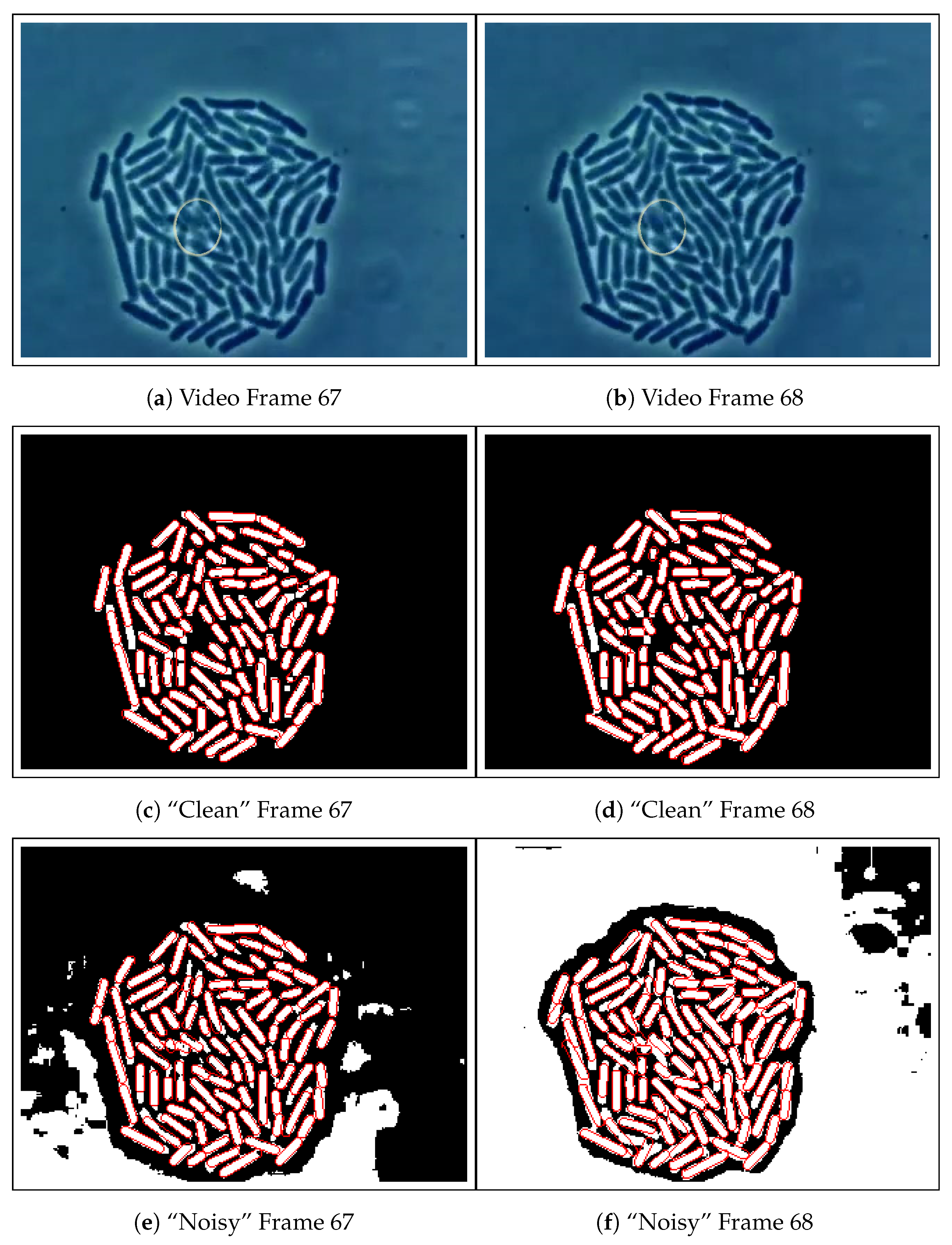 Algorithms 15 00051 g005 Algorithms 15 00051 g005