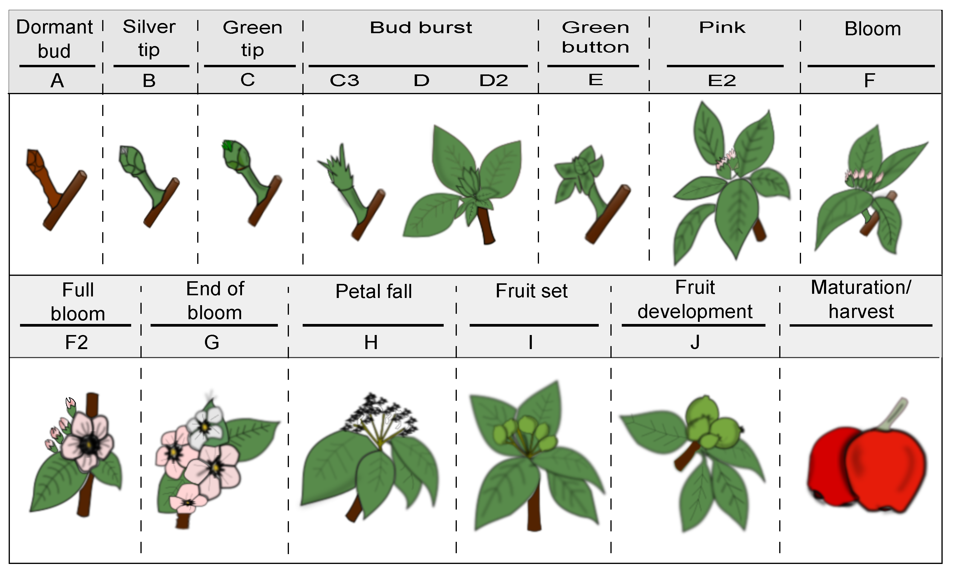 Algorithms 15 00095 g001 550
