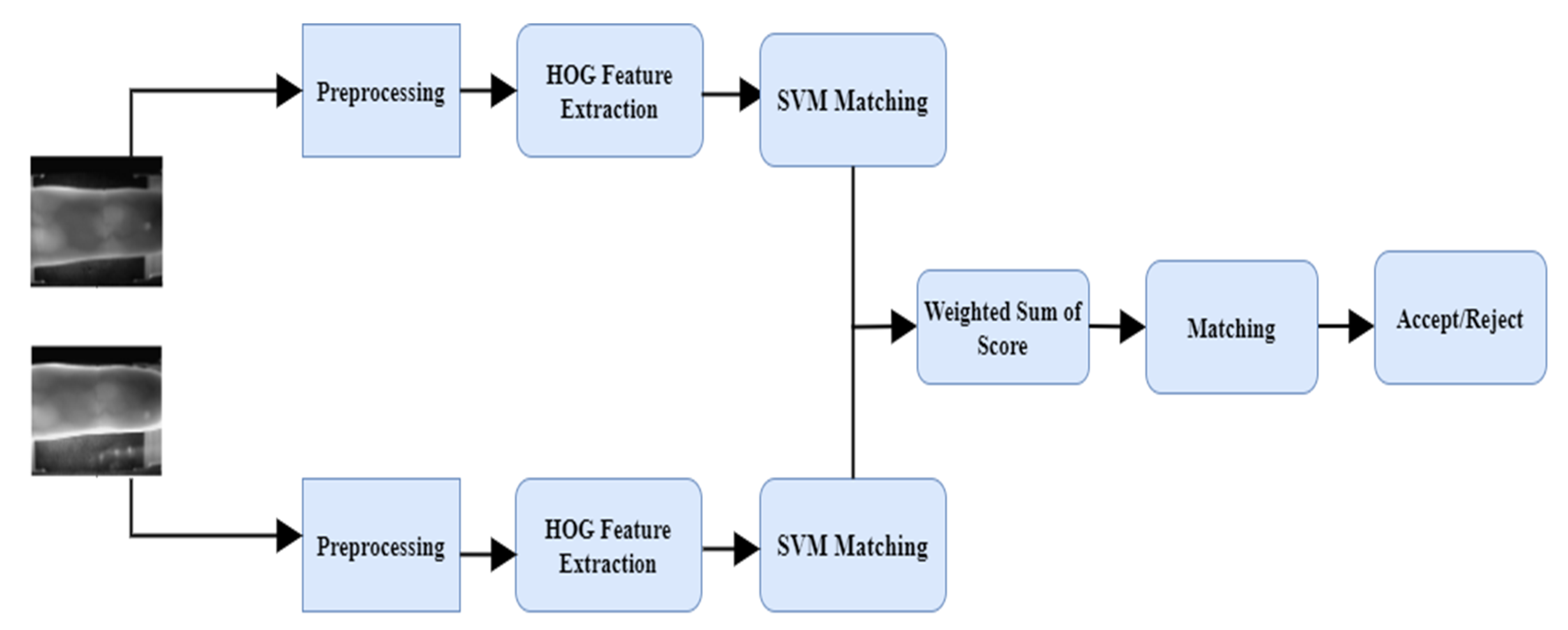 Algorithms 15 00161 g001