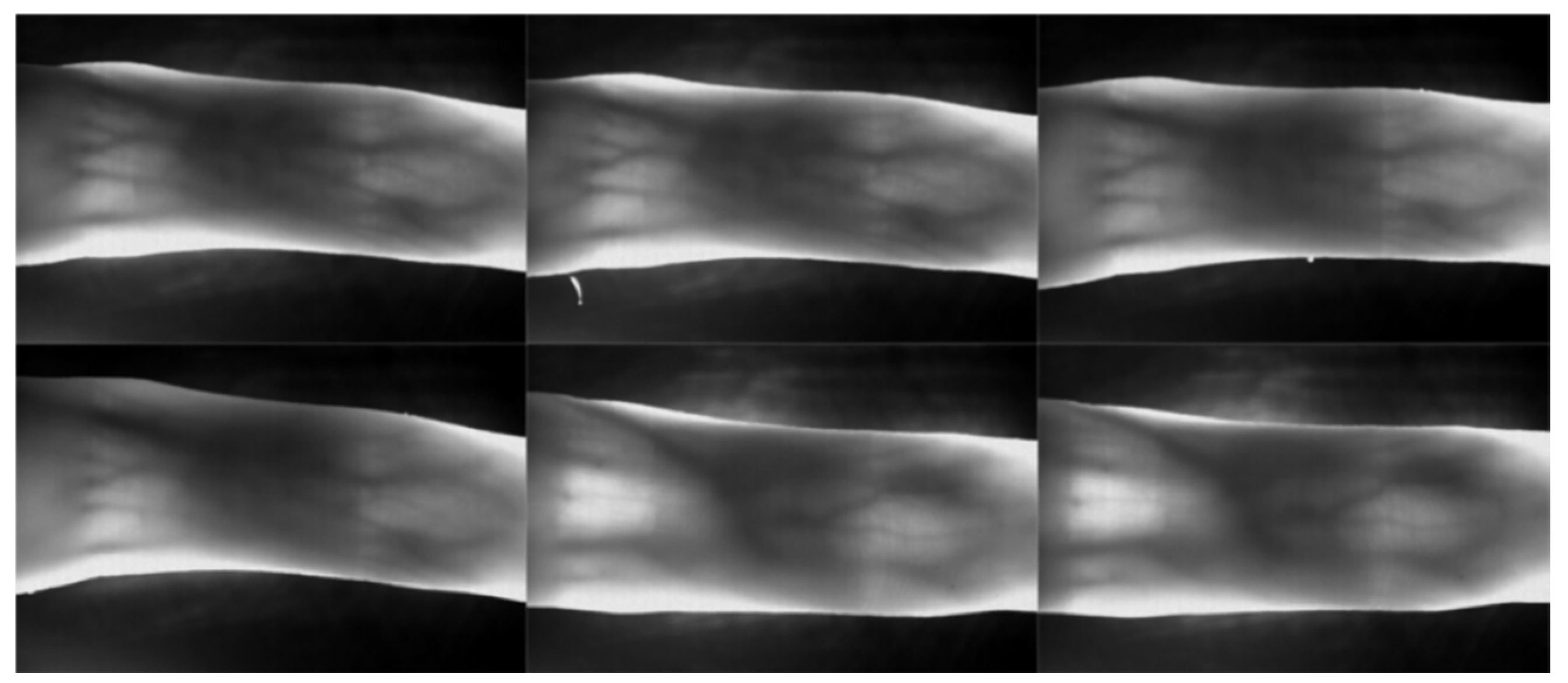 Algorithms 15 00161 g005