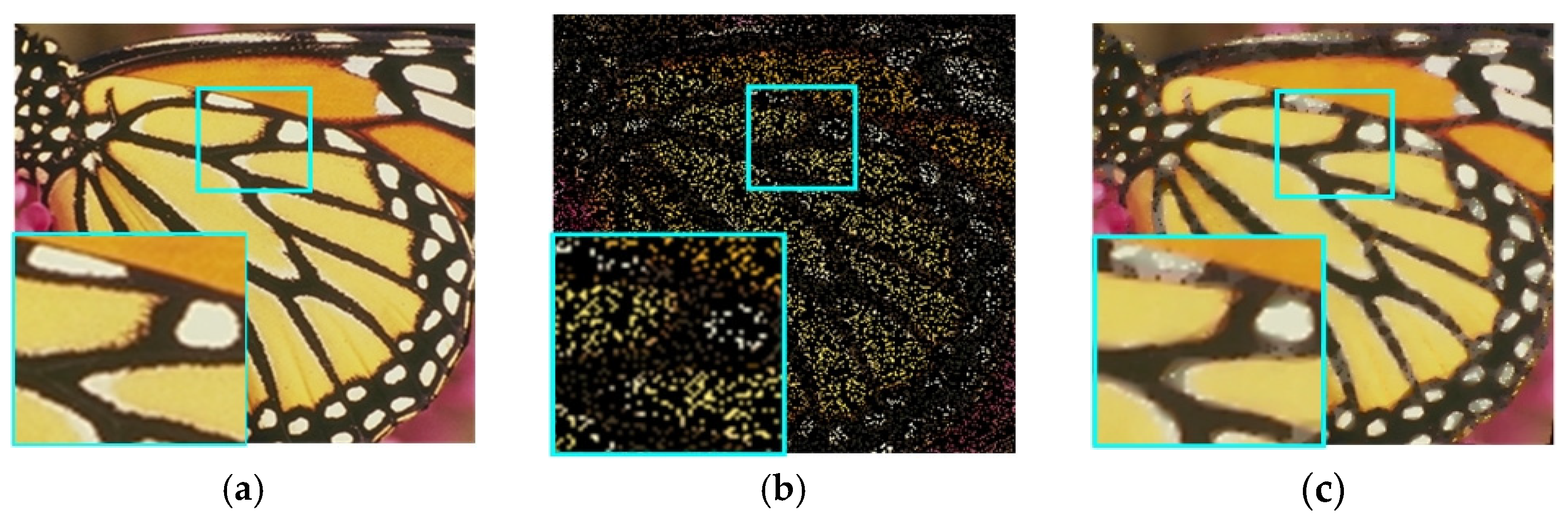 Algorithms 15 00176 g003a