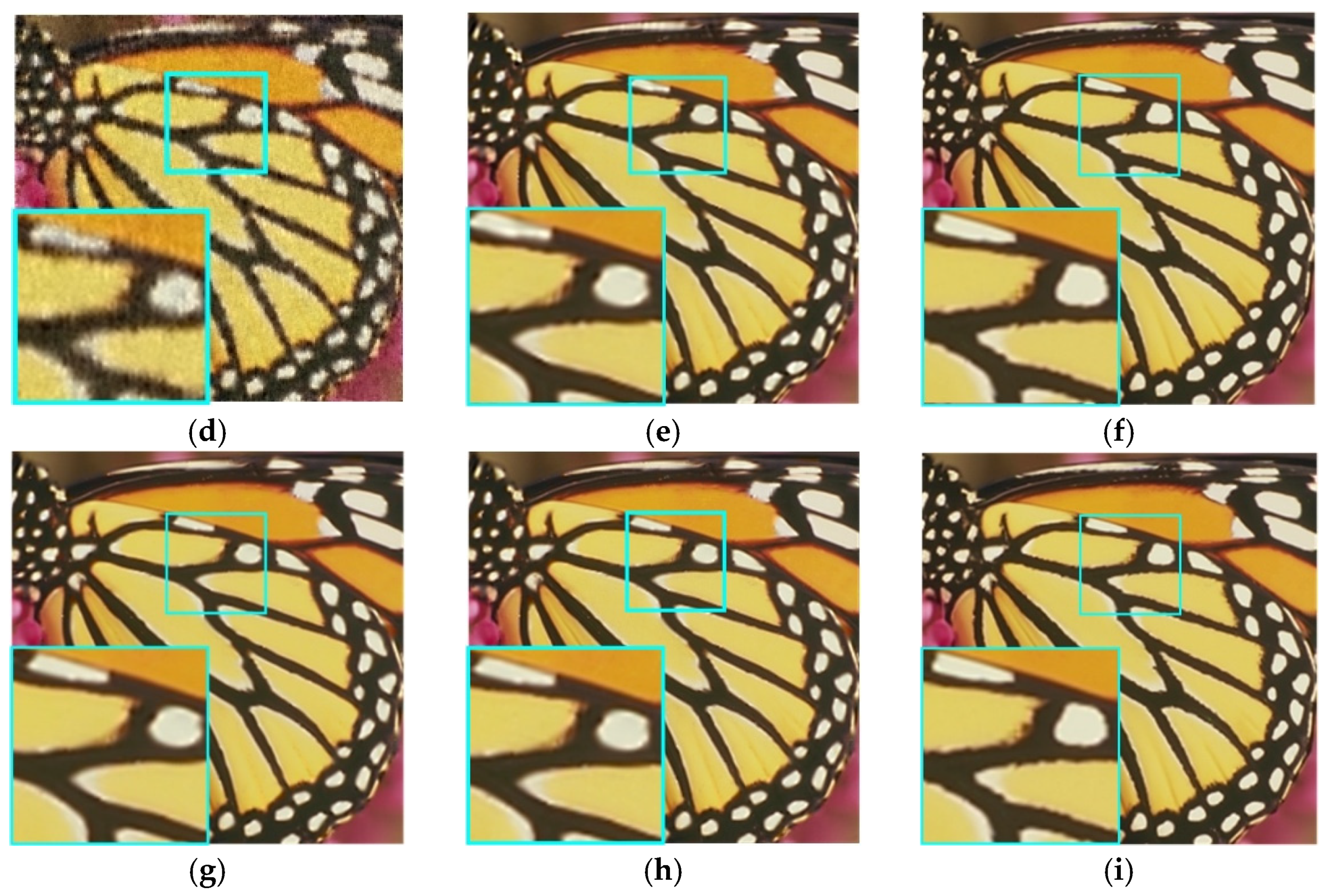 Algorithms 15 00176 g003b