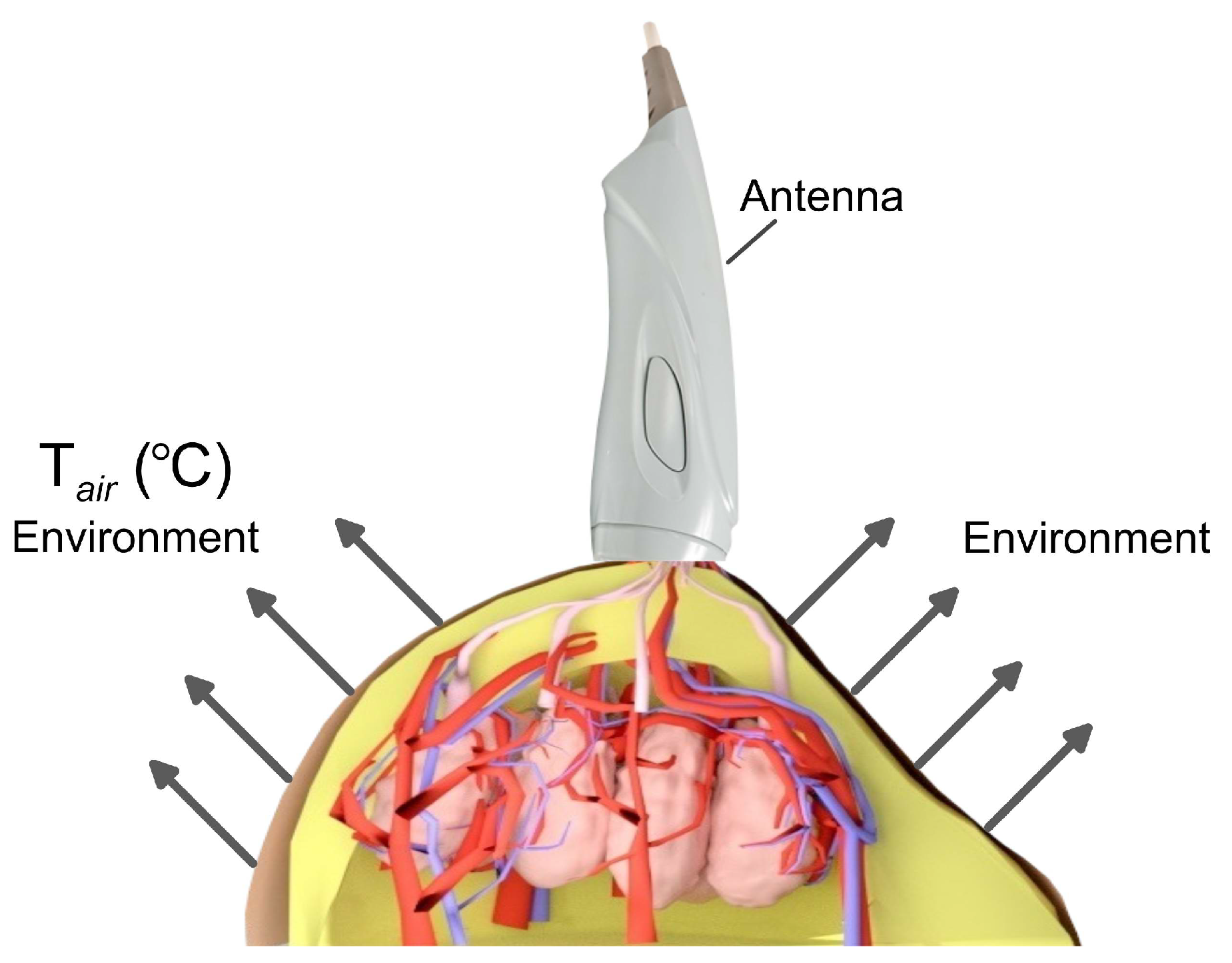 Algorithms 15 00292 g008 Algorithms 15 00292 g008