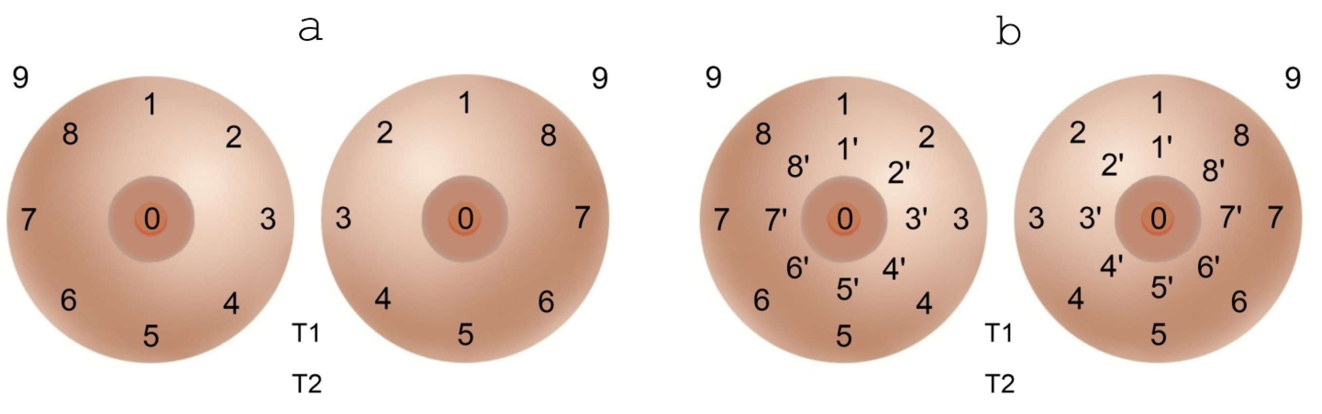 Algorithms 15 00292 g010 Algorithms 15 00292 g010