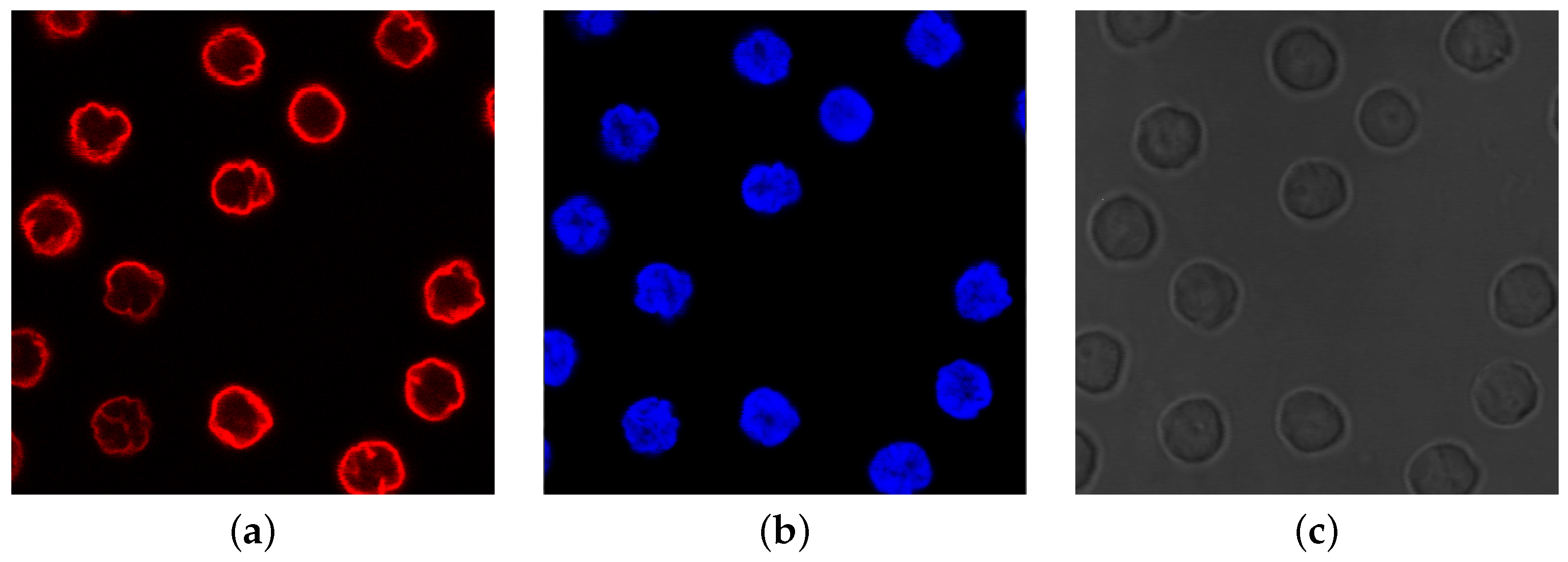 Algorithms 15 00313 g001 Algorithms 15 00313 g001