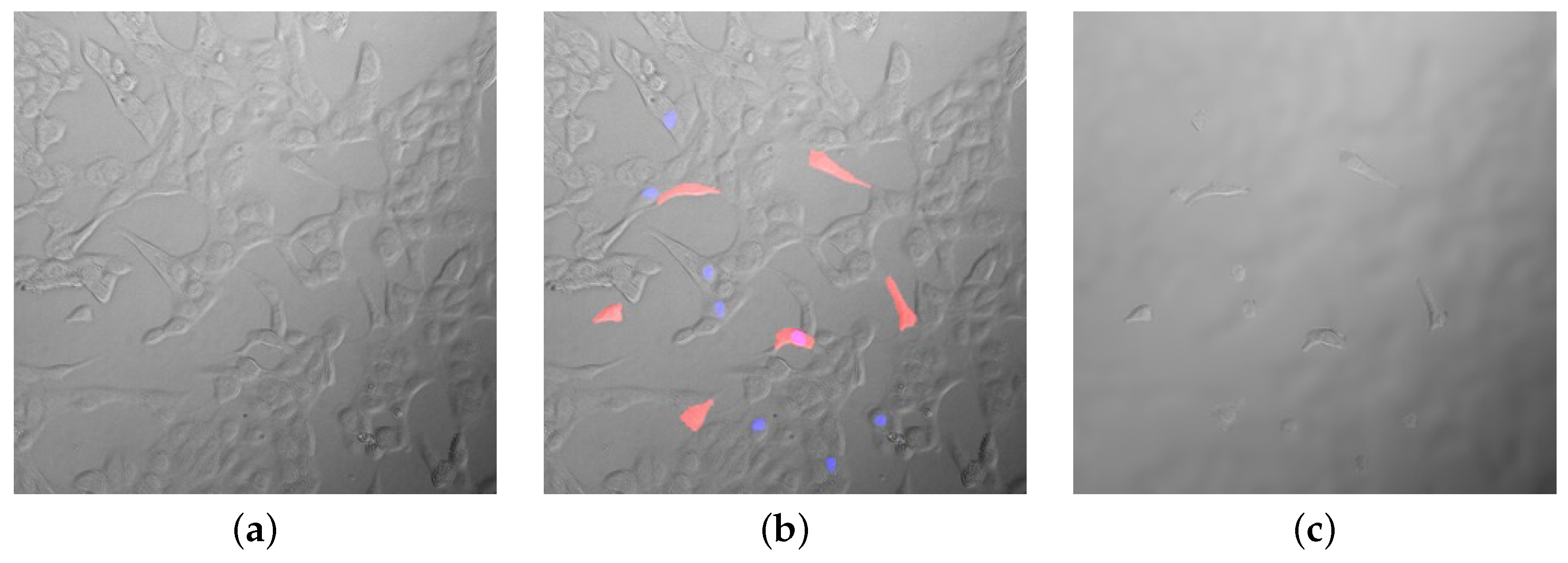 Algorithms 15 00313 g003 Algorithms 15 00313 g003