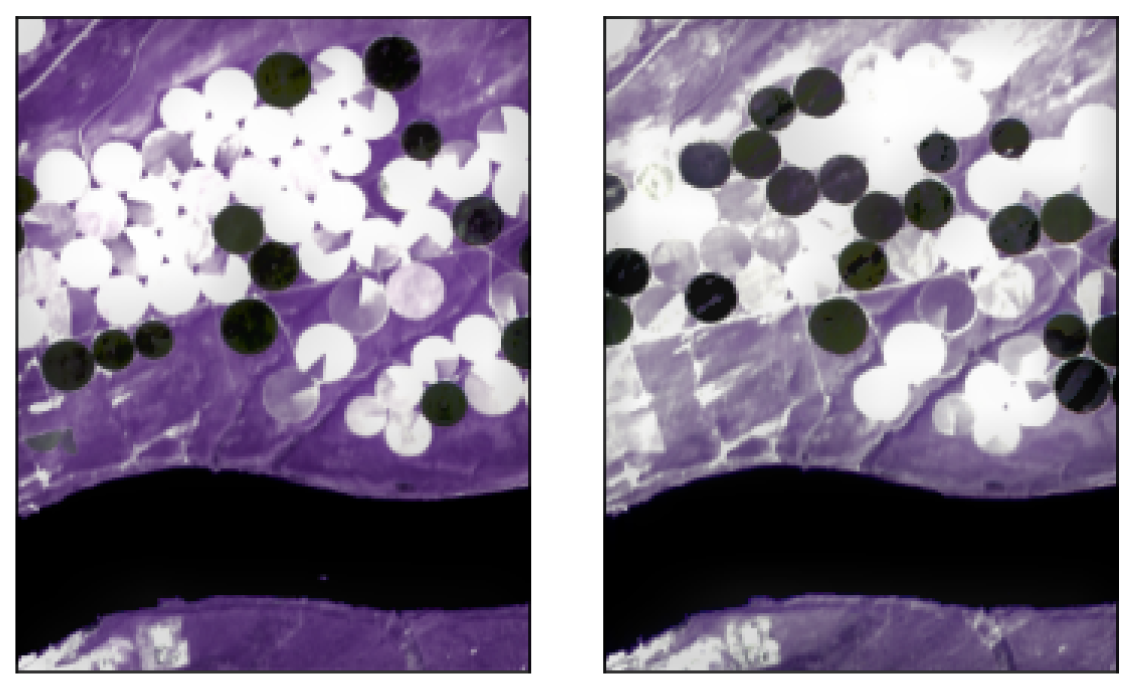 Algorithms 15 00340 g002