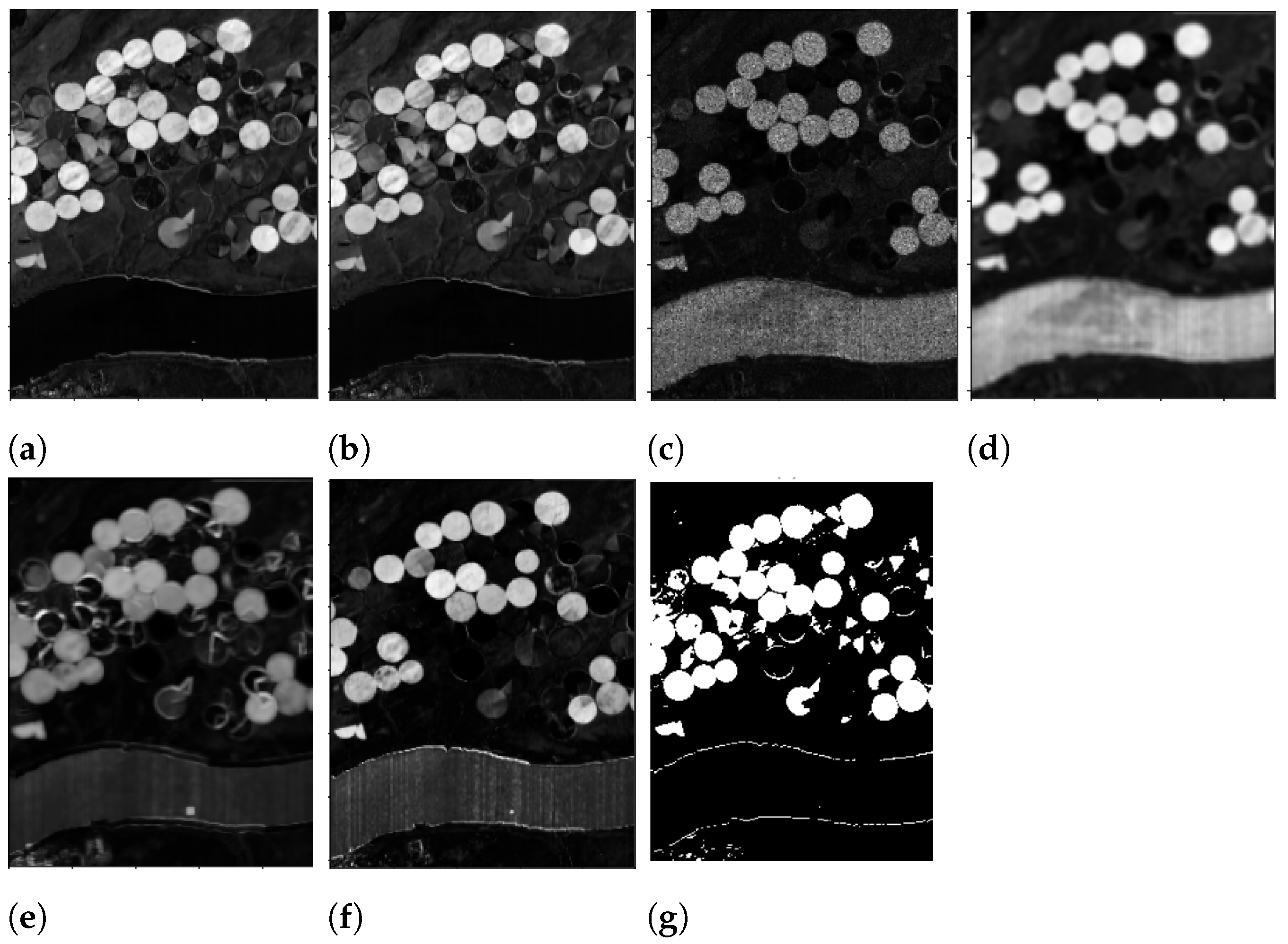 Algorithms 15 00340 g006