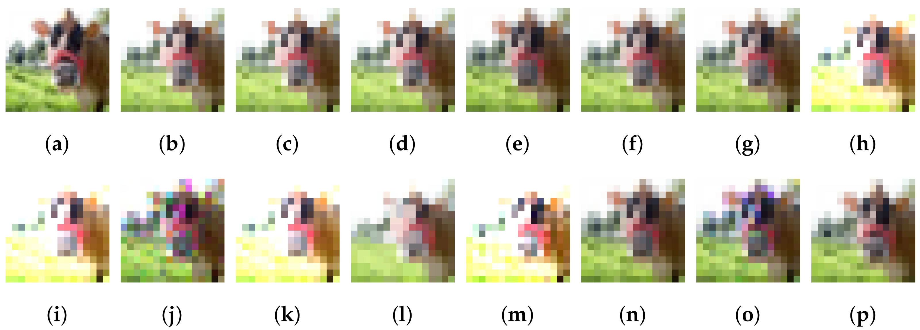 Algorithms 15 00391 g009