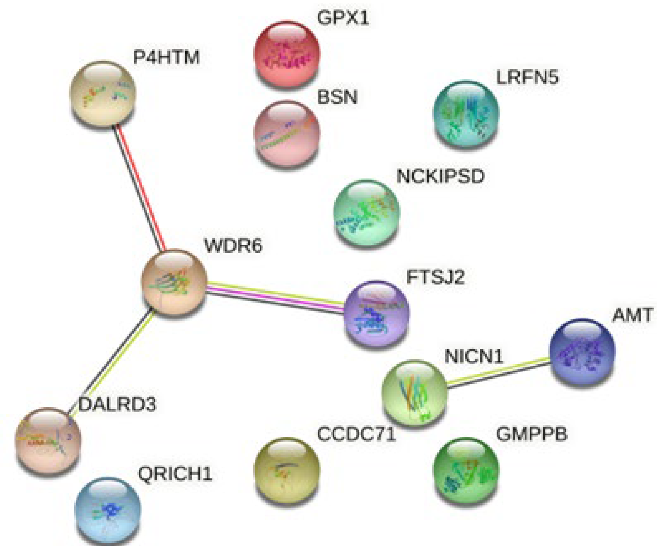 Algorithms 15 00409 g006 Algorithms 15 00409 g006