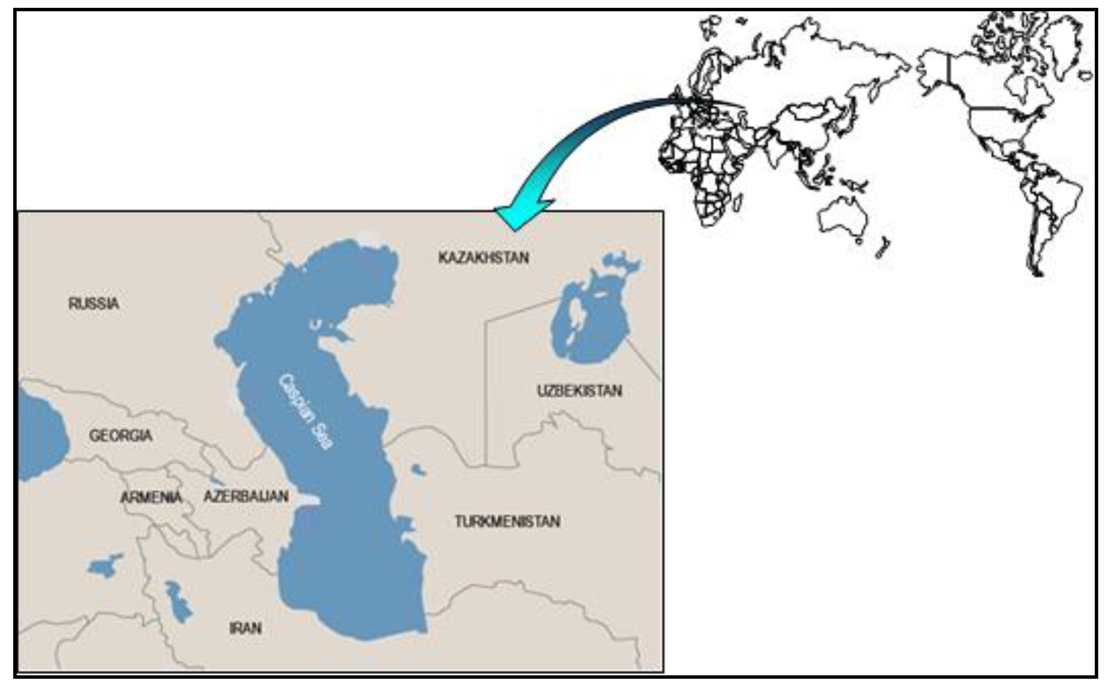 Algorithms 15 00445 g001